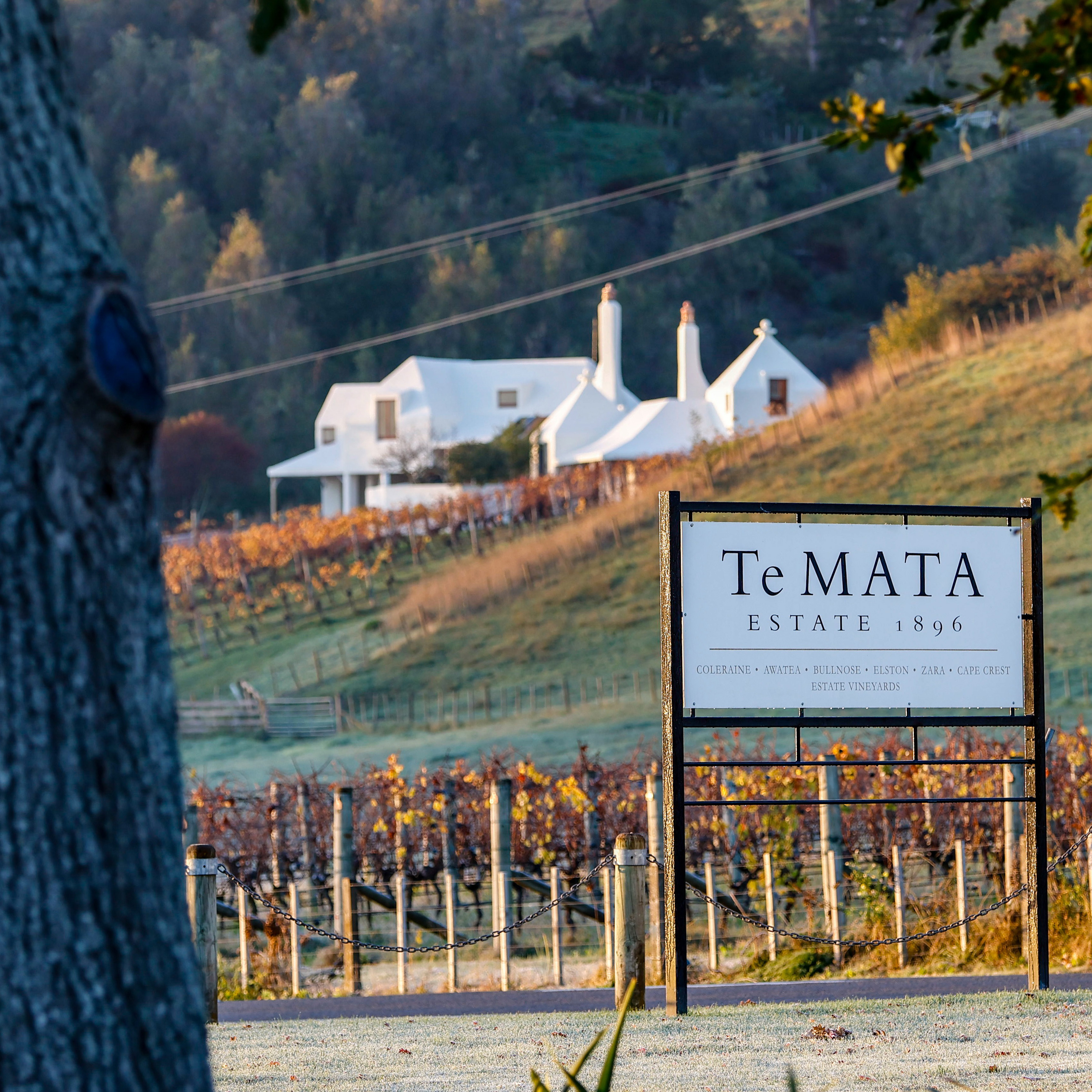Te Mata Estate in Hawke's Bay