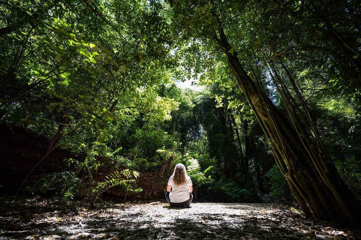 Sanctuary Mountain has also recently launched a range of wellbeing experiences including Forest Serenity, and the Nature of Work. Photo / Hamilton and Waikato Tourism