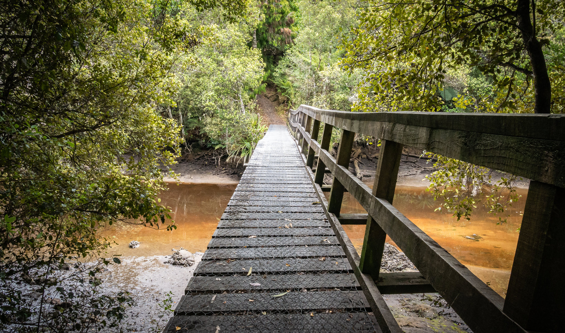 Parts of Stewart Island's Rakiura Track can be done in sections. Photo / 123rf