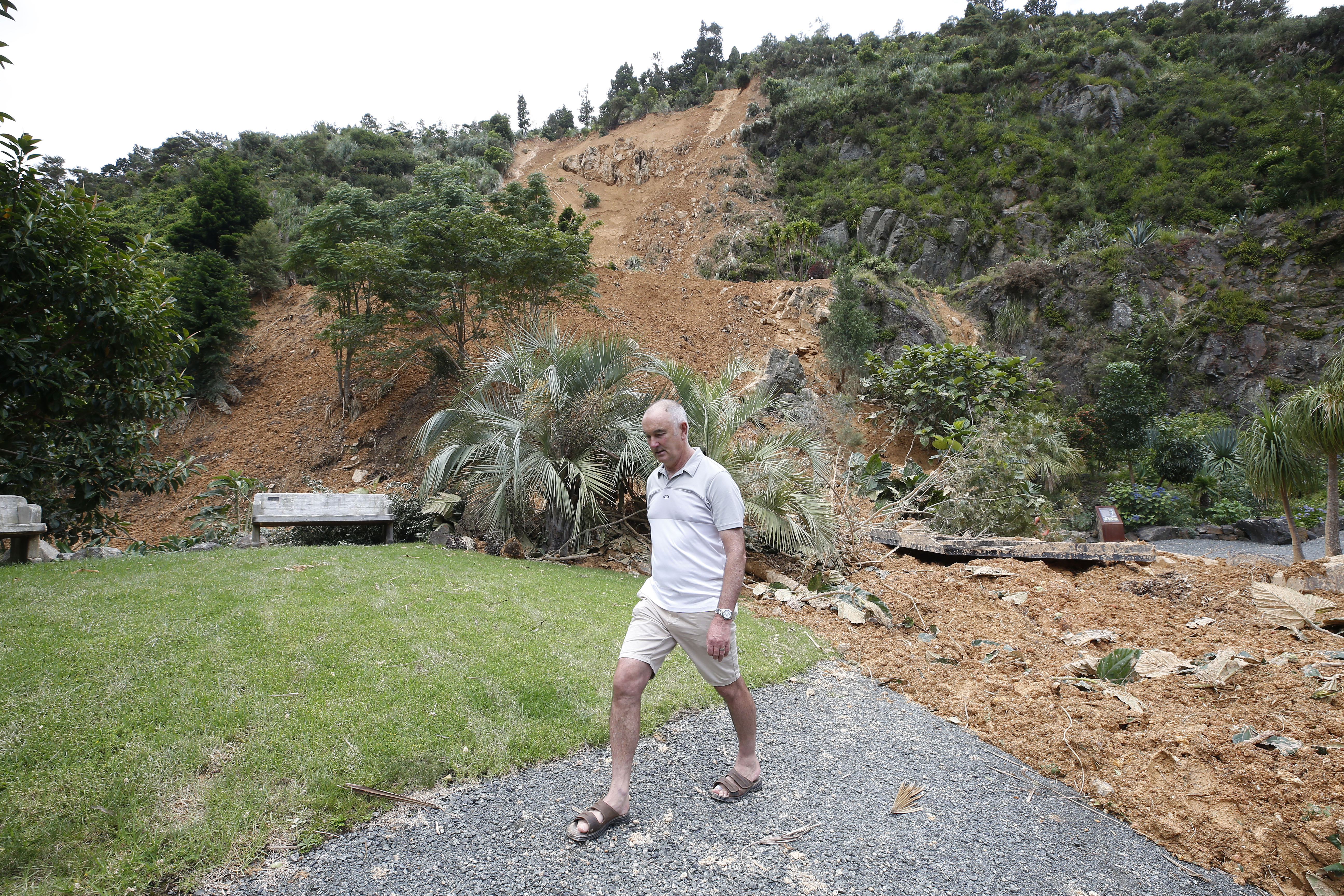 Garden Manager Guy Hessell shows one of the major slips from Cyclone Gabrielle. Photo / Michael Cunningham