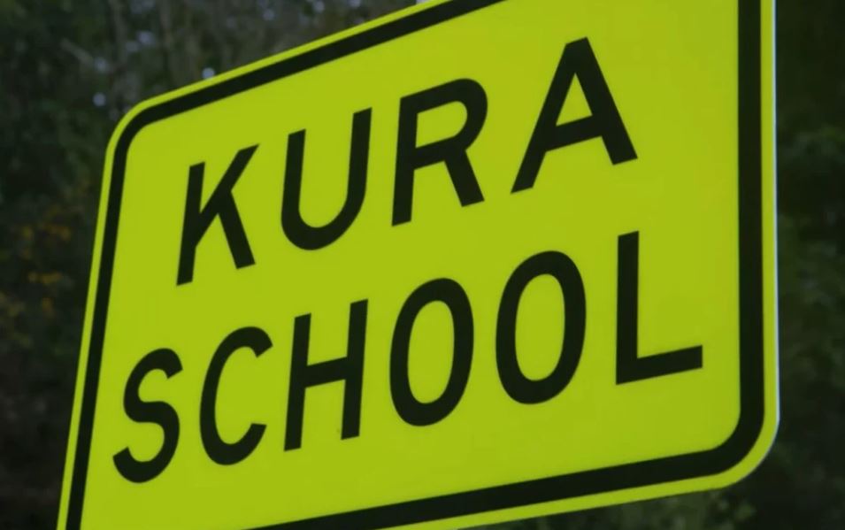 Three-quarters of teachers said disruptive behaviour affected students' progress. Photo / Waka Kotahi