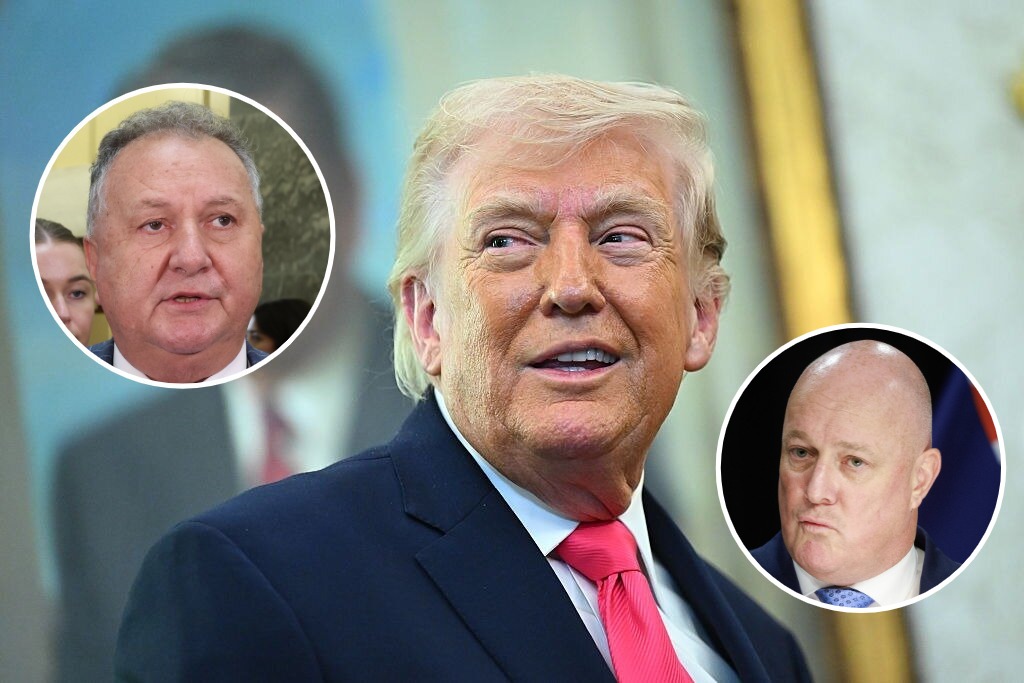 New Zealand has been discussing a critical minerals arrangement with the United States since late last year. Photo / Mark Mitchell / Getty Images