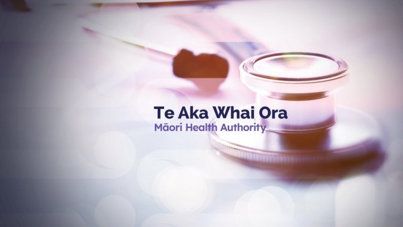 National wants to scrap the Māori Health Authority and replace it with a Māori health directorate within the health ministry. Photo / Whakaata Māori