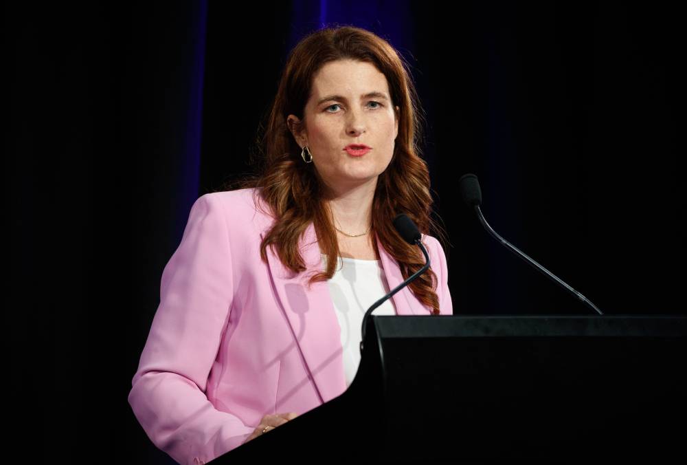 Finance Minister Nicola Willis. Photo / Mark Mitchell