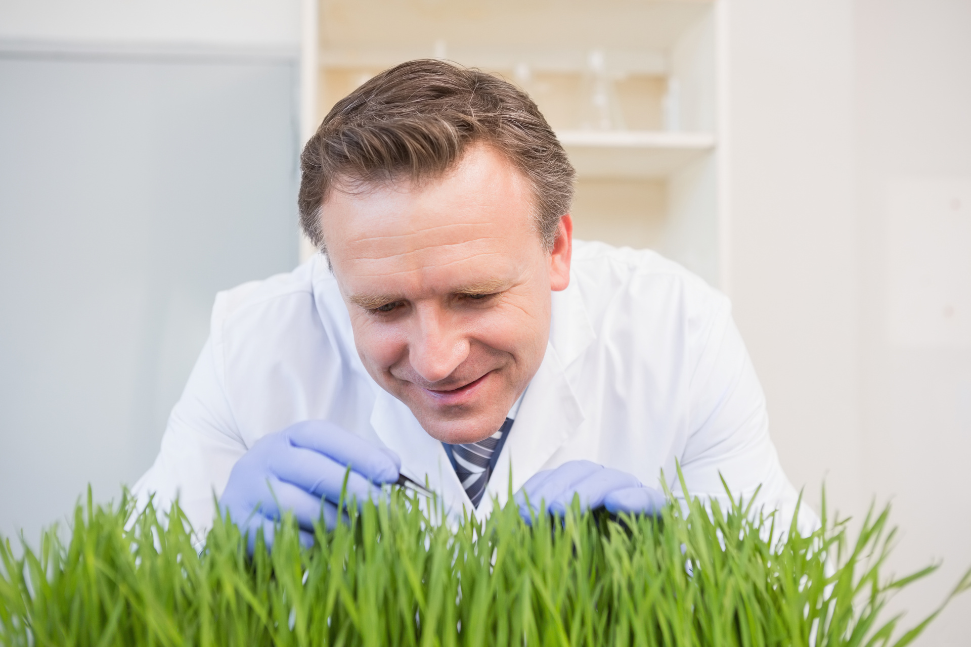 Modified rye grass could reduce emissions, but cannot be used in NZ.
