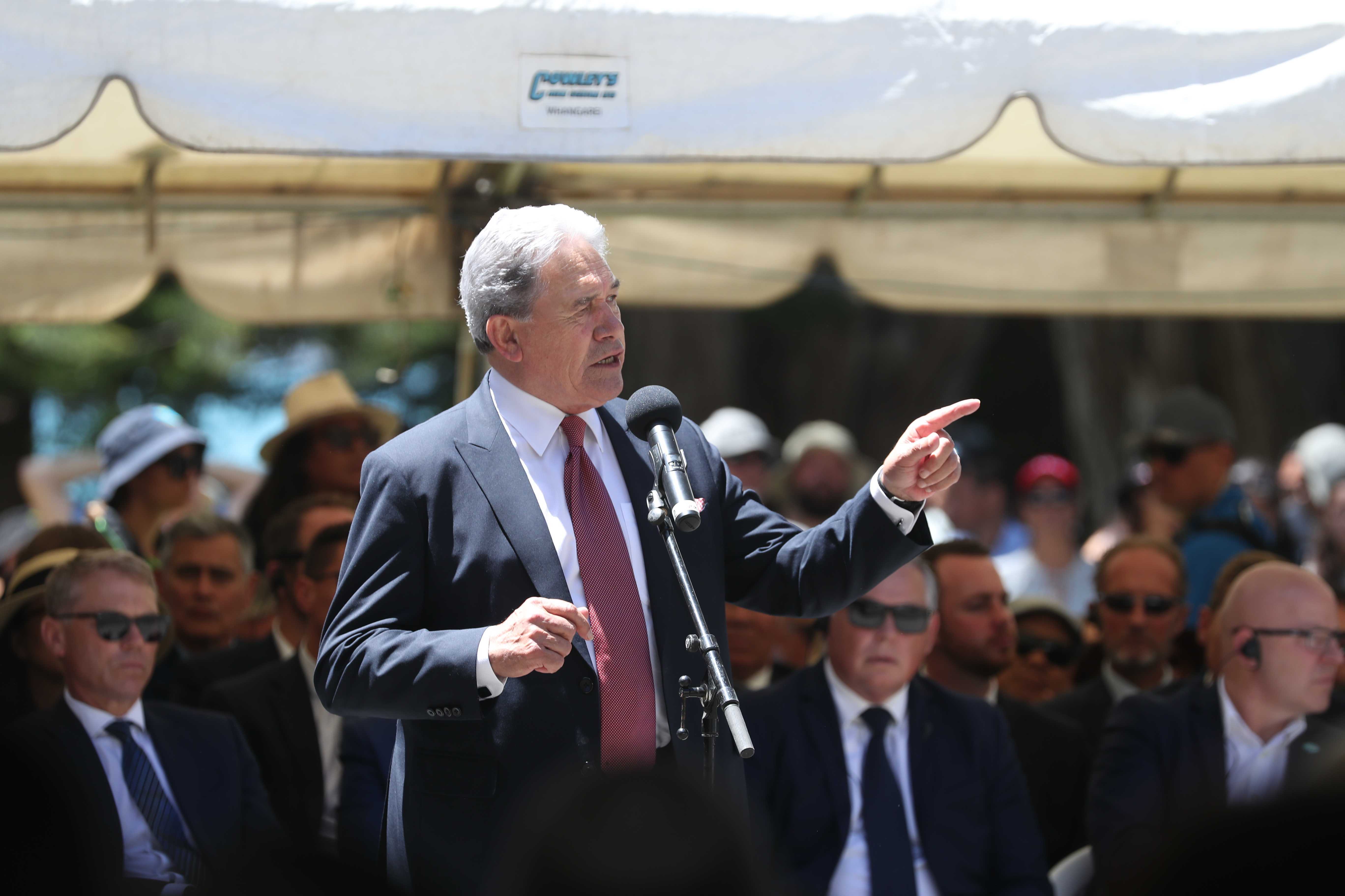 NZ First leader and Deputy Prime Minister Winston Peters wasn't afraid to go on the offensive at Waitangi. Photo / Michael Cunningham