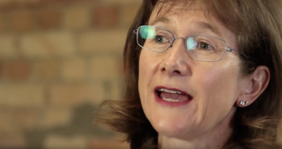 Angel Association of NZ chair Suse Reynolds welcomed the $300m top-up to the Green Fund and $67.4m for de-carbonisation - both of which she saw creating opportunities for startups. Photo / File