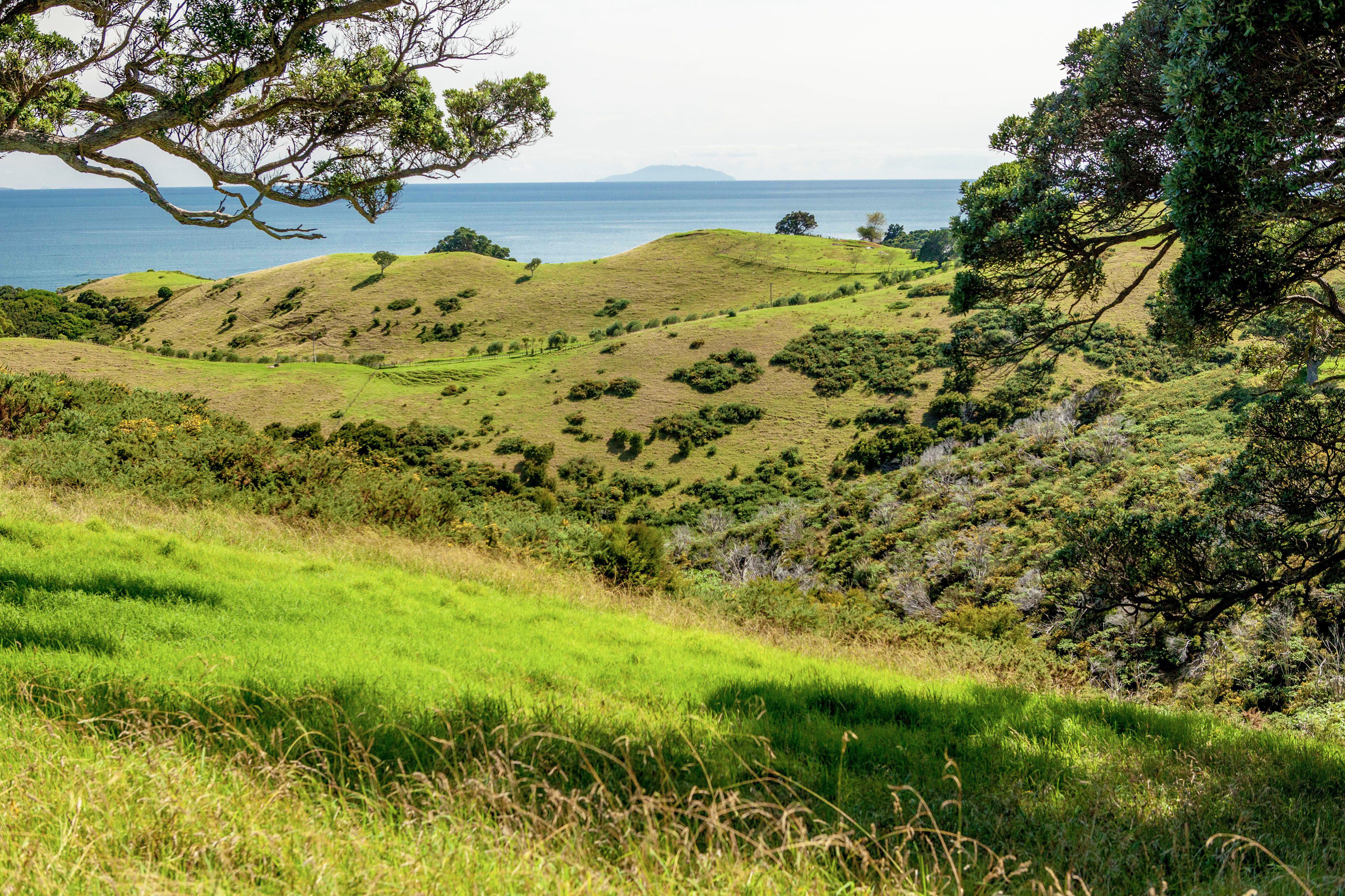 Wawata Estate on Waiheke Island. Photo / supplied