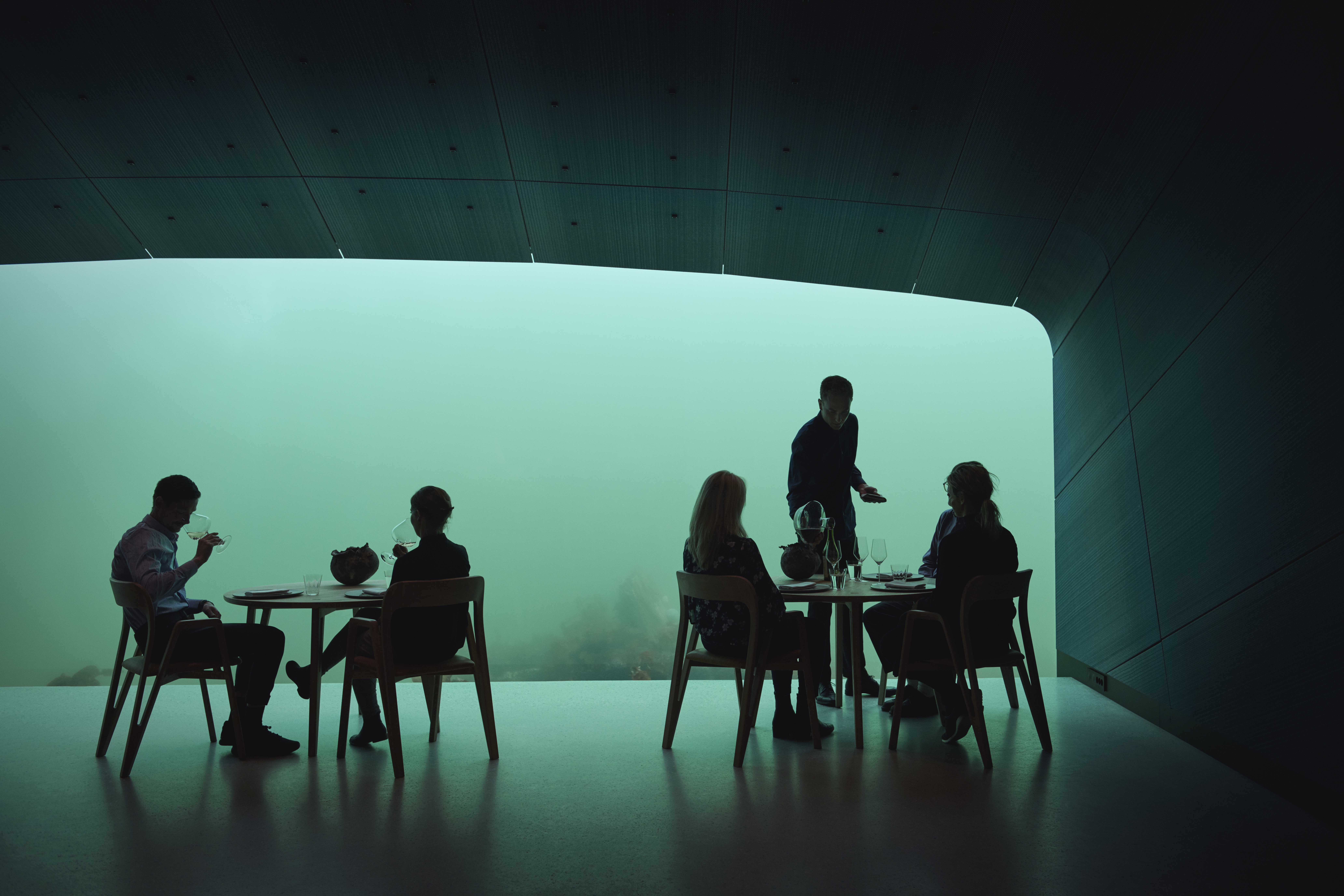 Dining beneath the ocean at Norway's impressive restaurant, Under. Photo / Ivar Kvaal