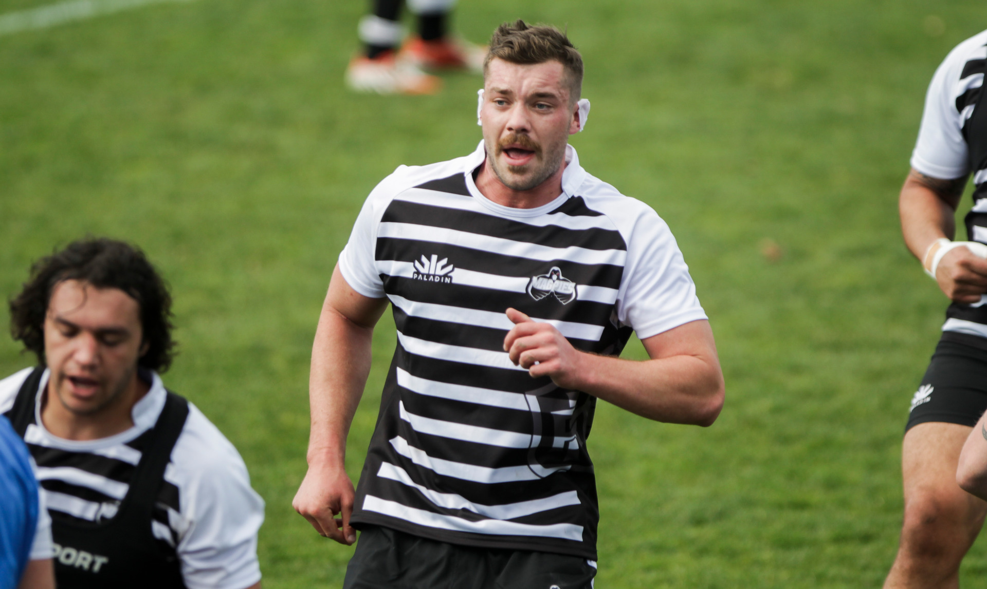 Rugby: Magpies lock Geoff Cridge poised for Hurricanes comeback - NZ Herald