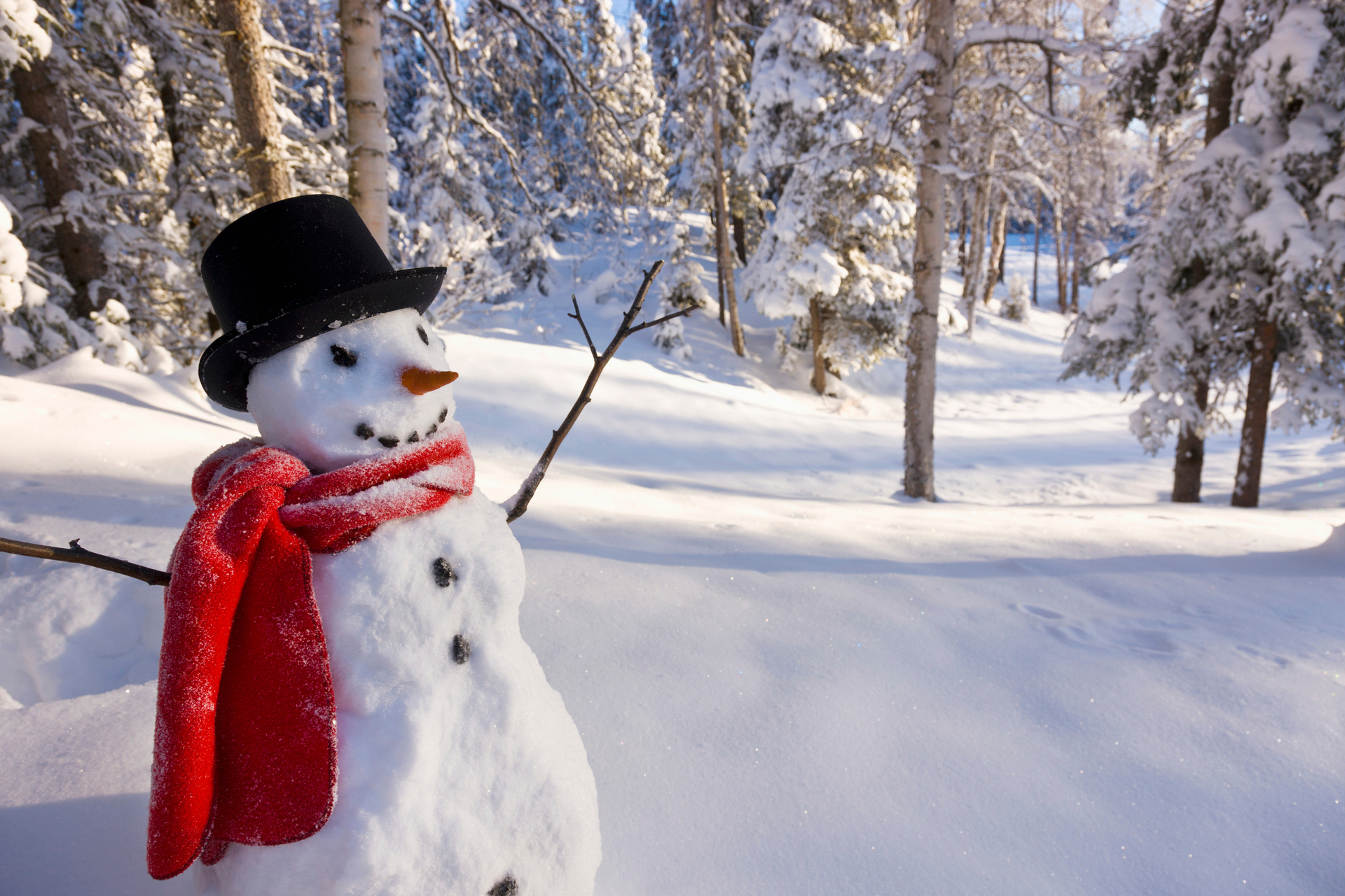 Build a snowman in Alaska. Photo / Getty Images