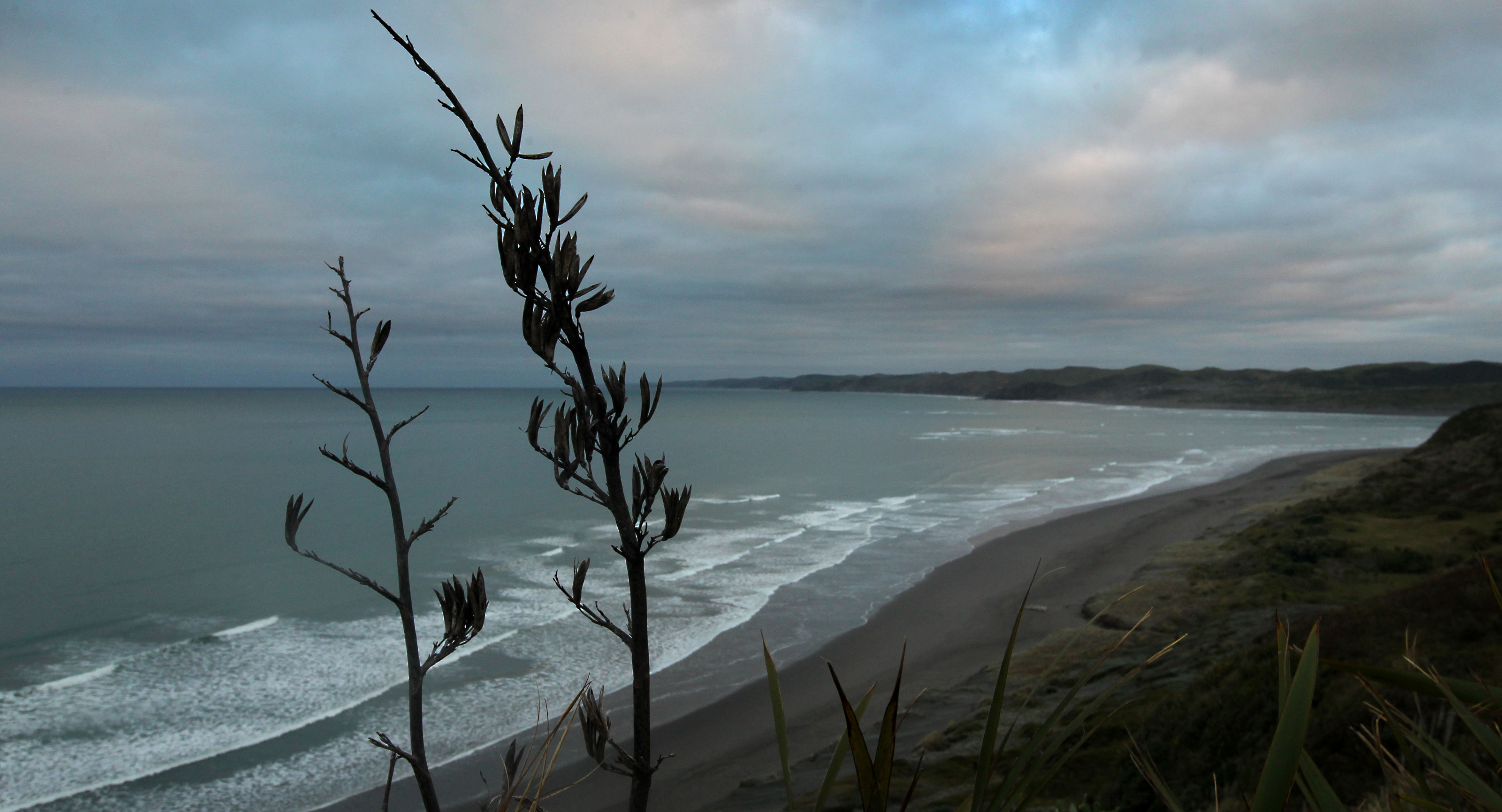 Skinny dipping teens rescued by police - NZ Herald