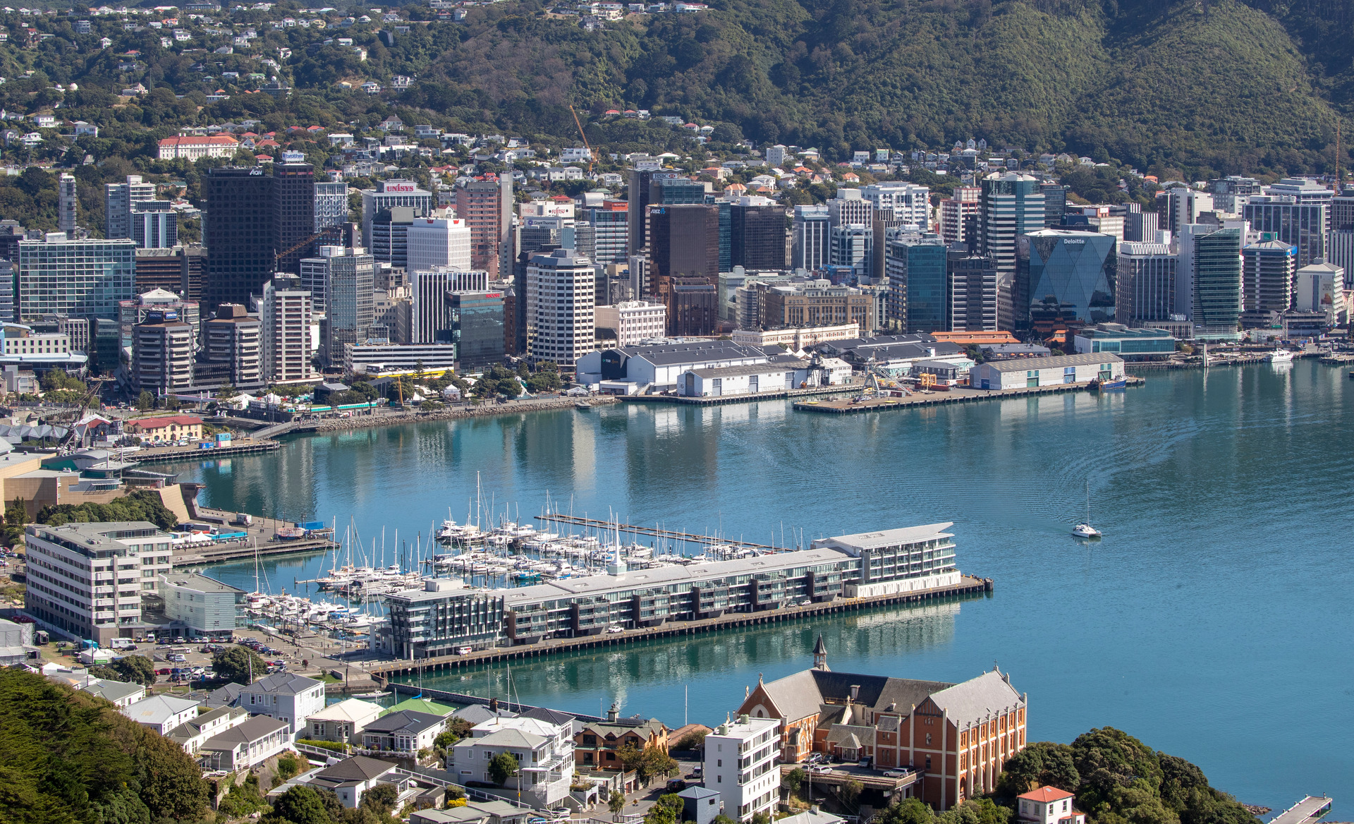 Wellington City. Photo / Mark Mitchell