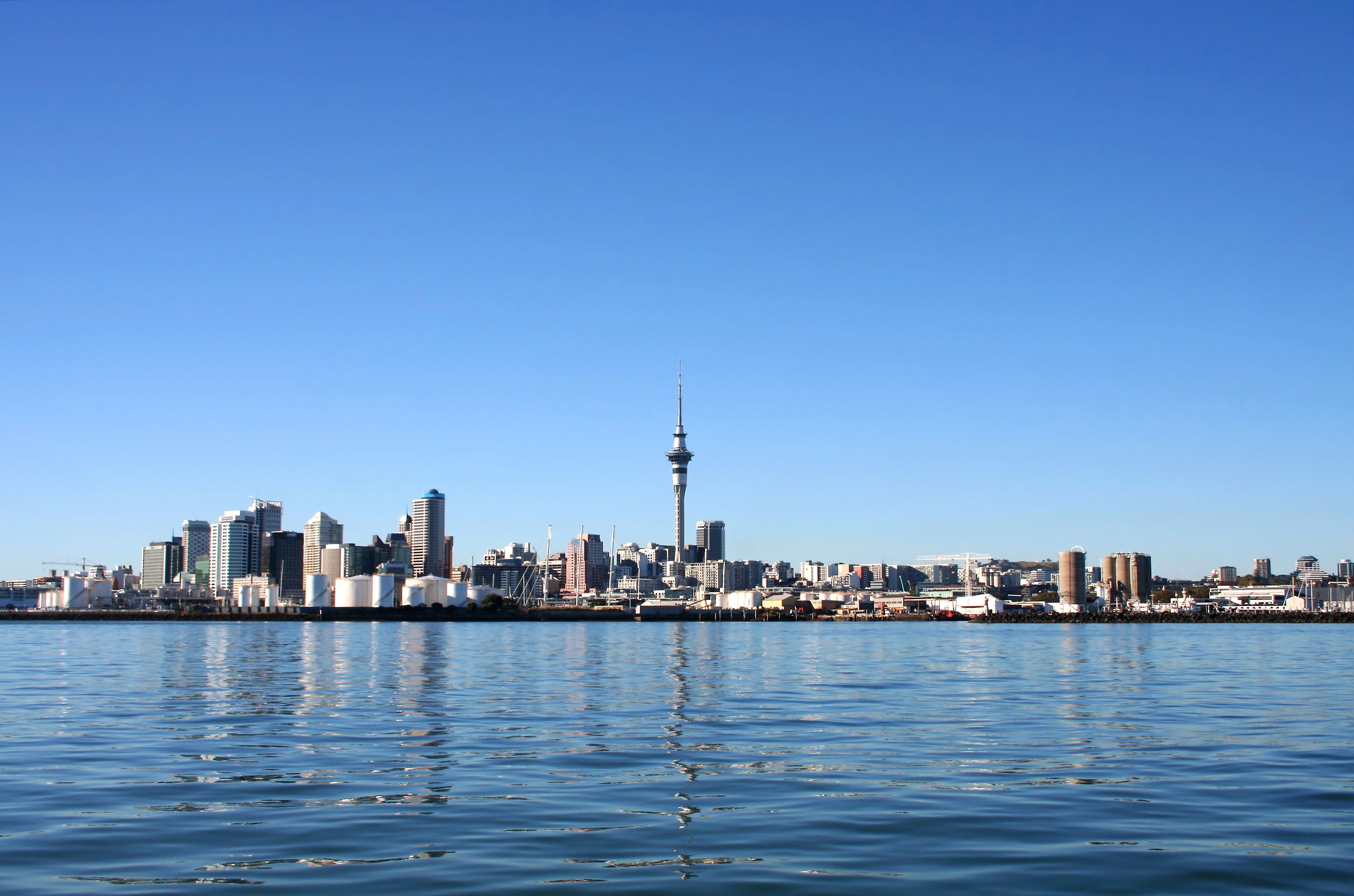 Residential property values across Auckland City have taken the biggest hit. 