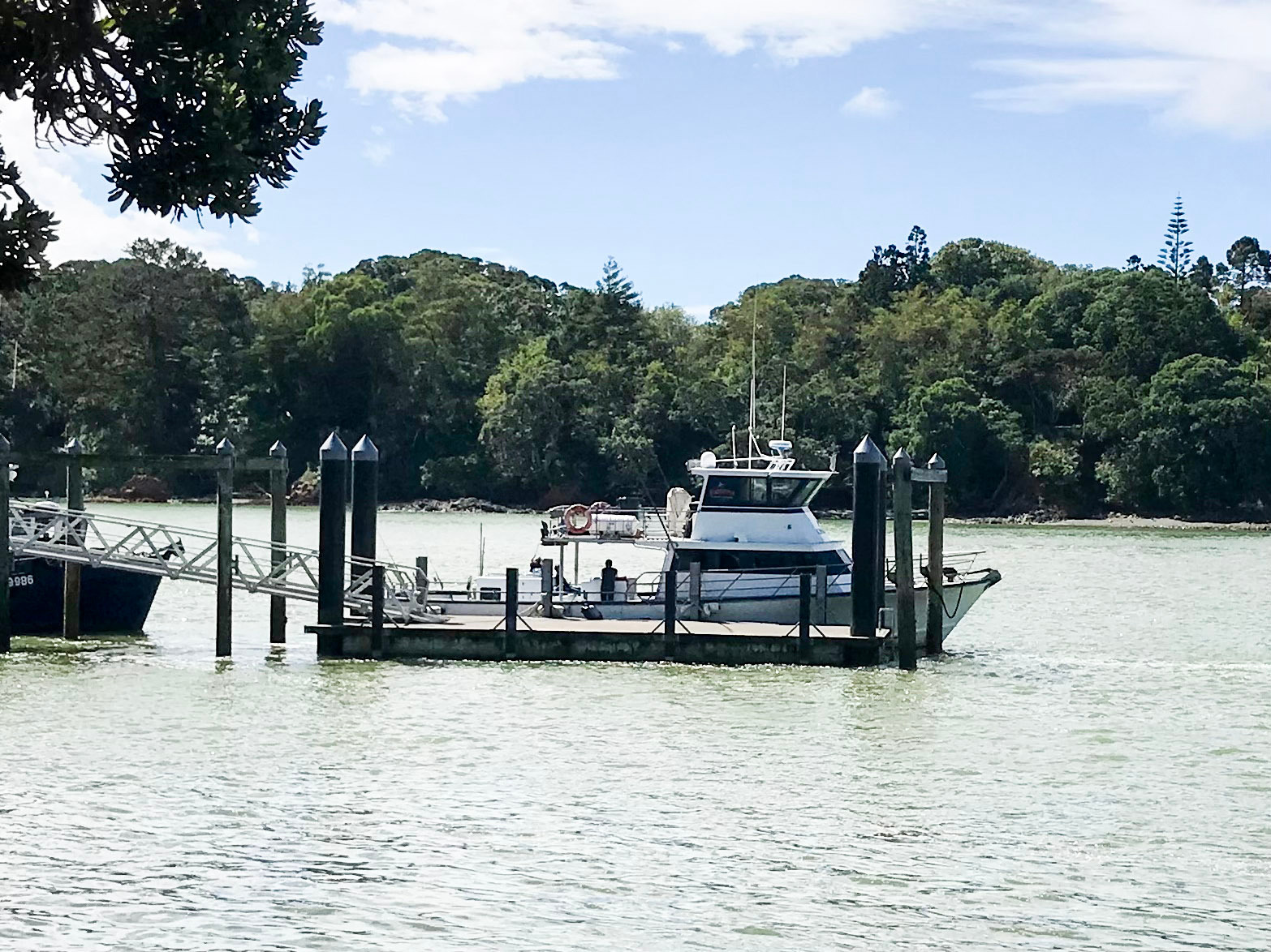 The Cova Rosa, one of three vessels operated by Enchanter fishing charters, at the Mangonui Wharf. Photo / David Fisher