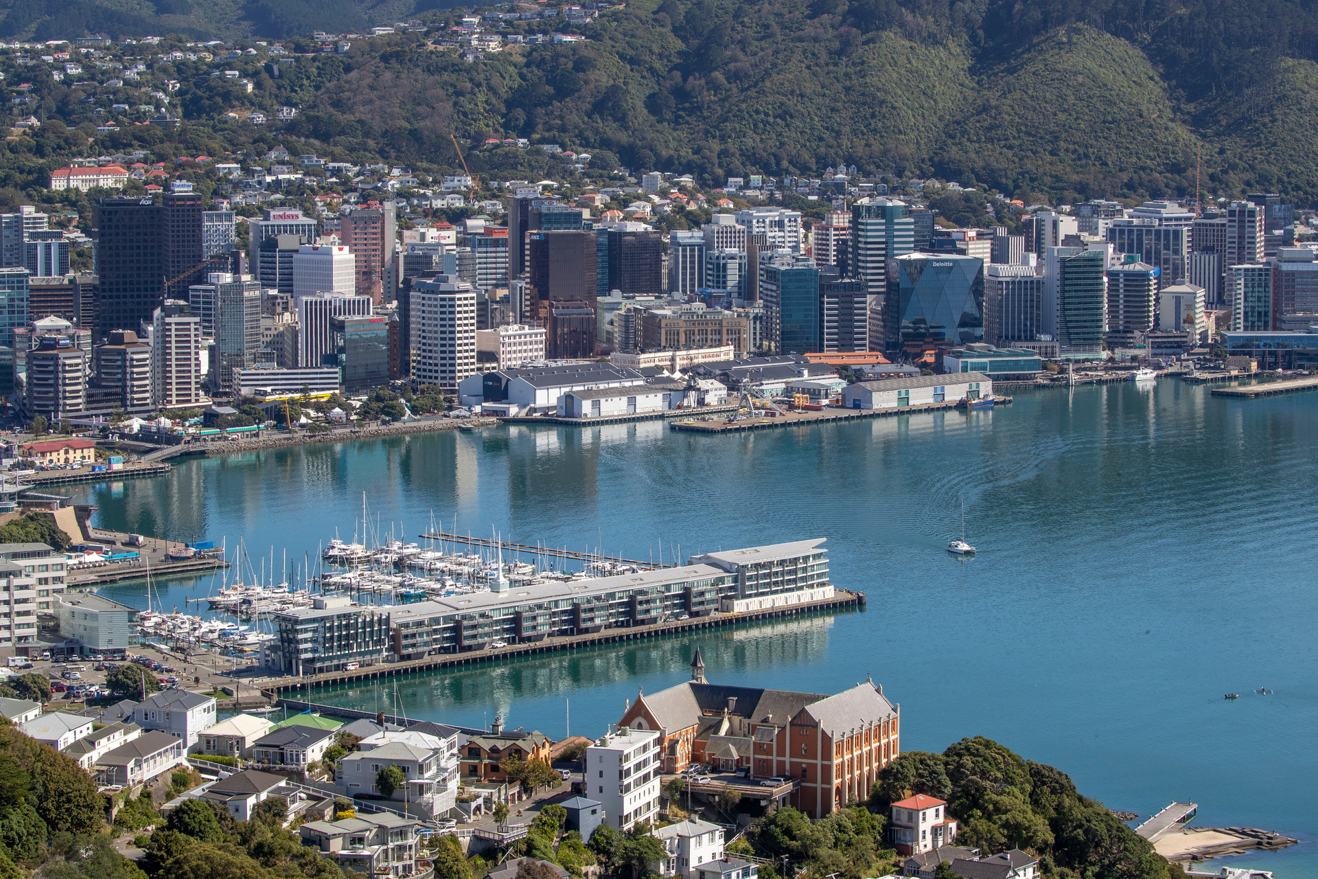Wellington harbour. Photo / Mark Mitchell