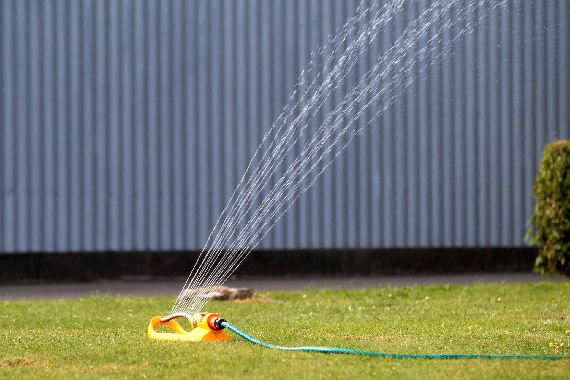 Hoses and sprinklers are banned in Dargaville and Baylys Beach with water use restrictions now in place. Photo / NZME