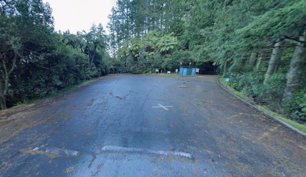 Police found a vehicle taken from the Pahīatua address at the Blue and Green Lakes Lookout on Tarawera Rd in Rotorua on Wednesday. Photo / Google Maps
