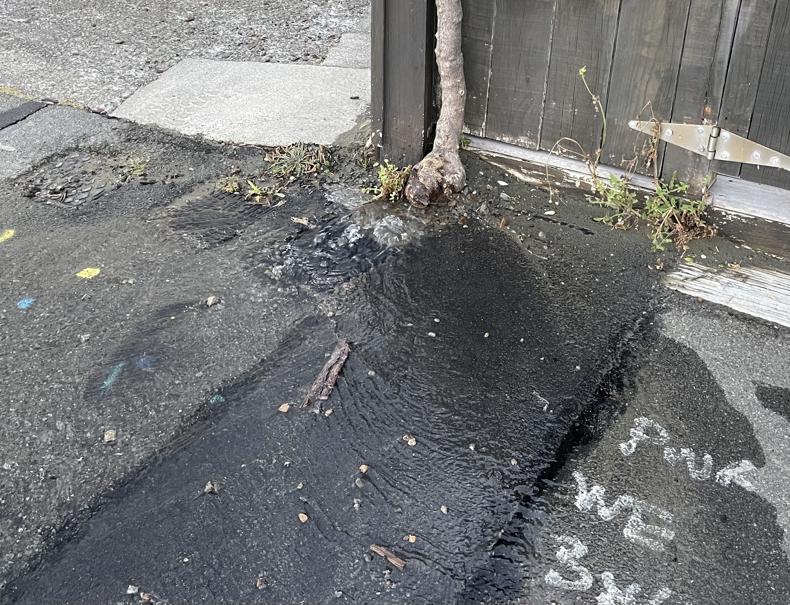 Wellington is losing 44 per cent of its treated drinking water through leaks. Photo / Georgina Campbell