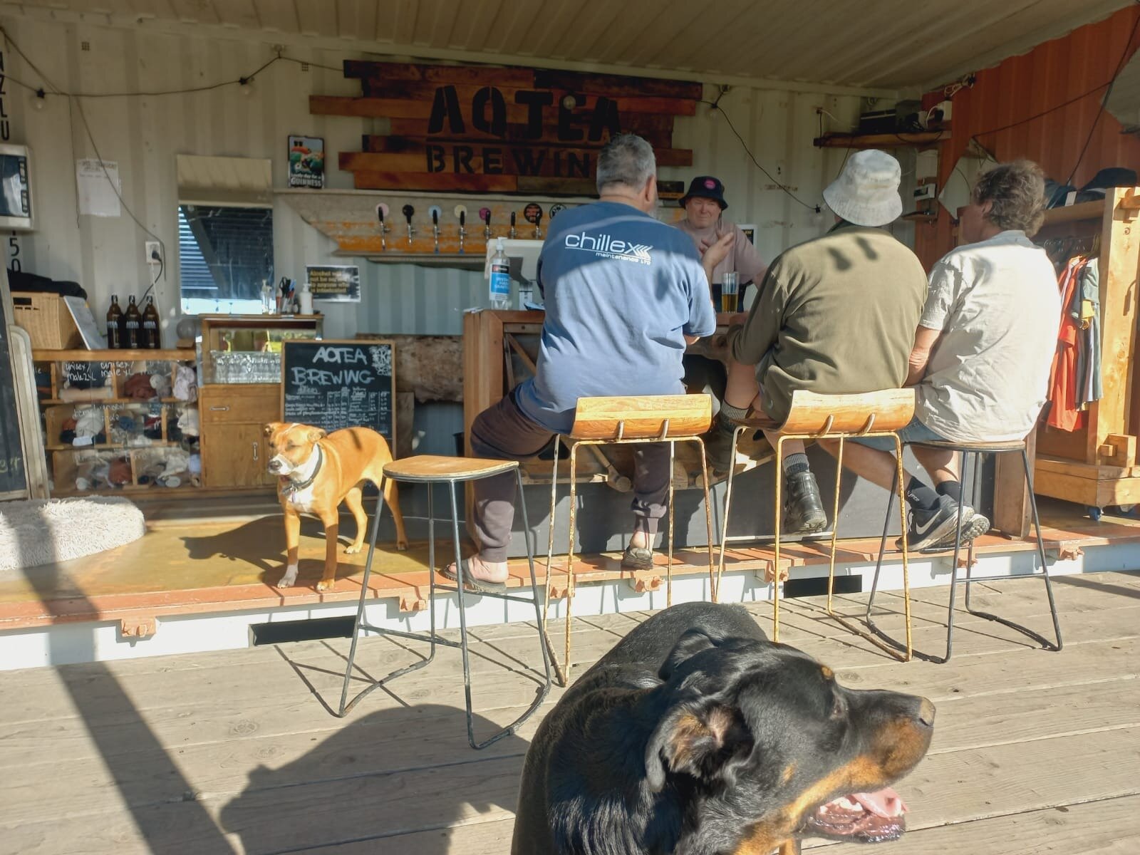 A solar-powered brewery, Aotea Brewing serves craft beers on tap. Dogs and children welcome. Photo / Phil Taylor
