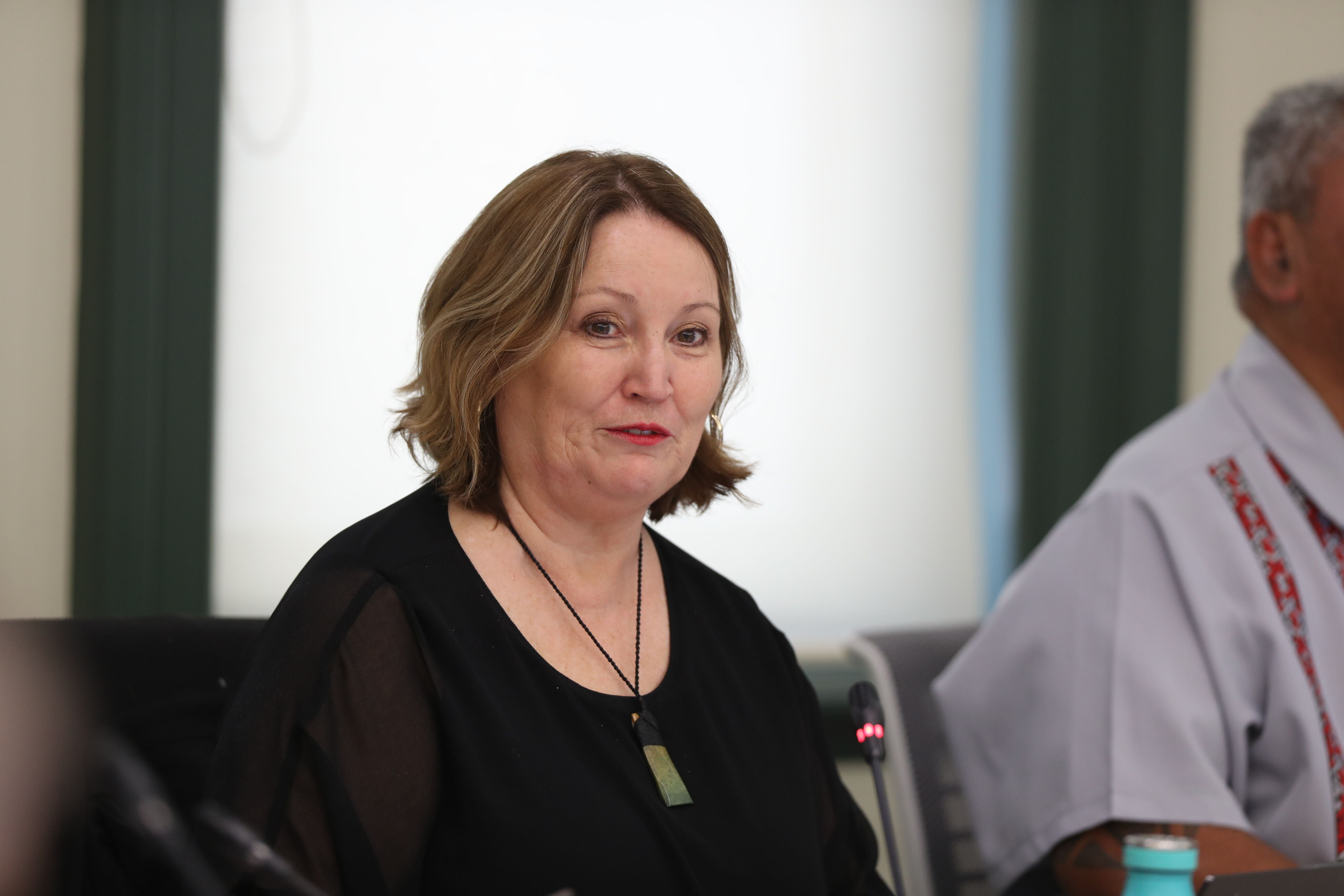 Manurewa-Papakura councillor Angela Dalton at an Auckland Council meeting. Photo / Jason Oxenham
