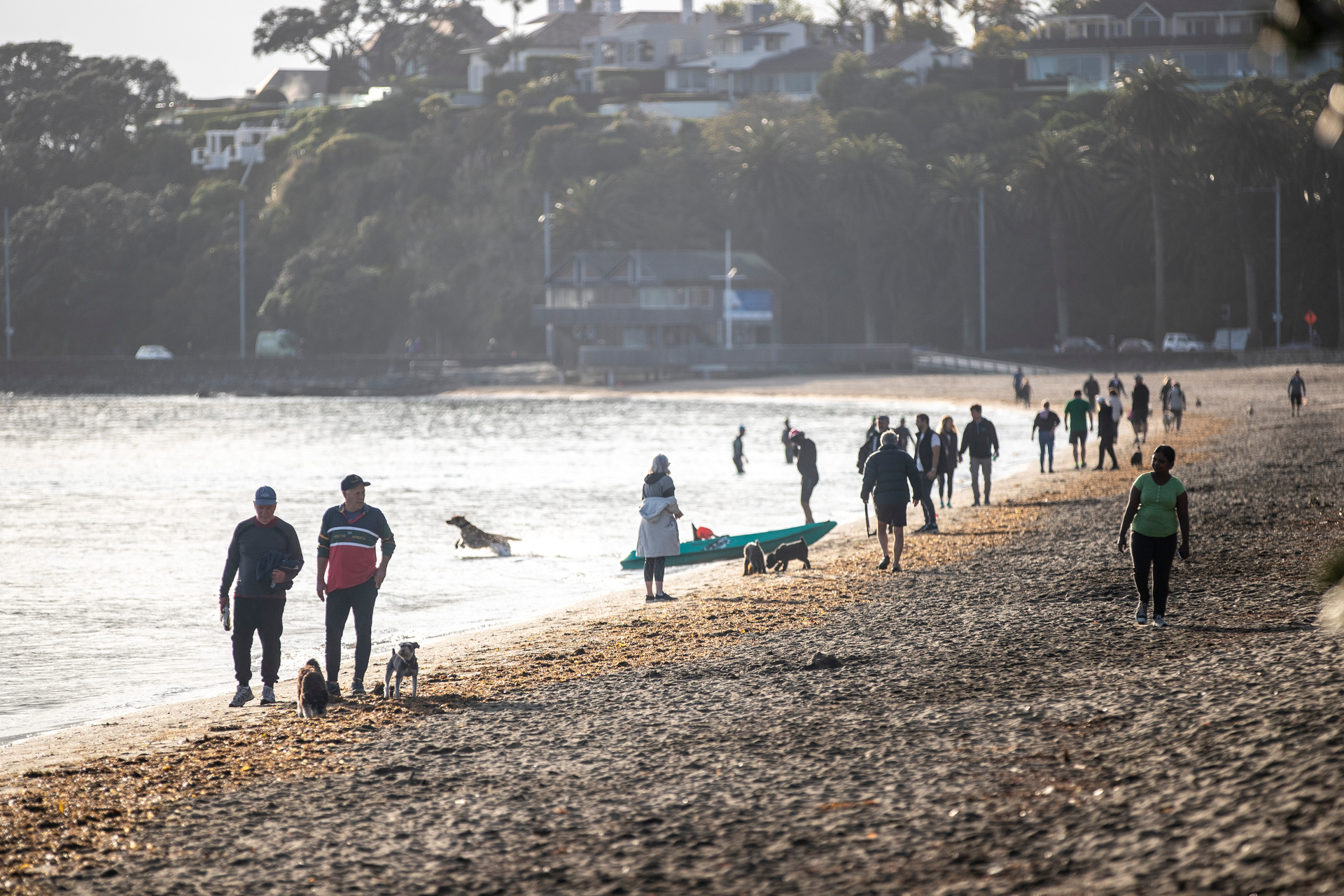 Kohimarama is one of the suburbs most at risk from coastal erosion. Photo / Michael Craig