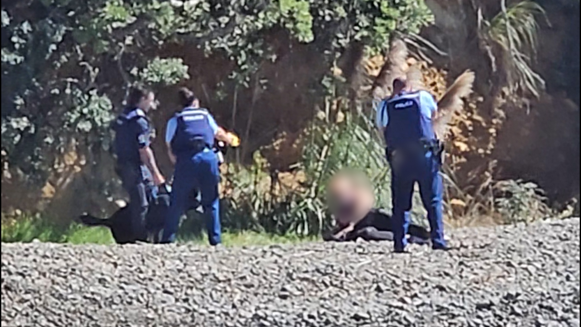 A man has died after threatening police and biting an officer’s hand at Orere Pt, Auckland, before being Tasered, pepper-sprayed, and losing consciousness. Photo / Supplied