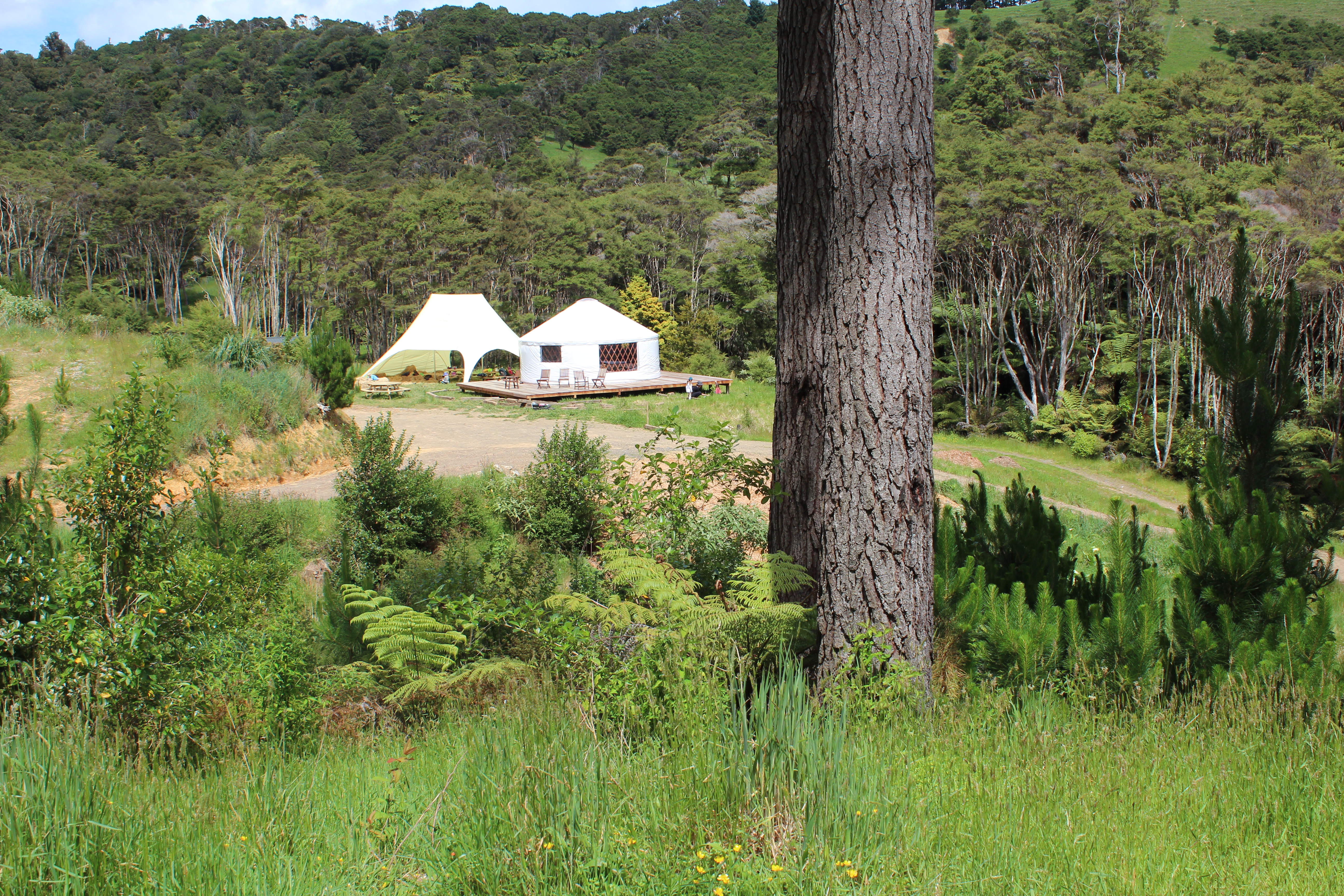 The Deep Green Bush-School does everything outside or in tents. Photo supplied