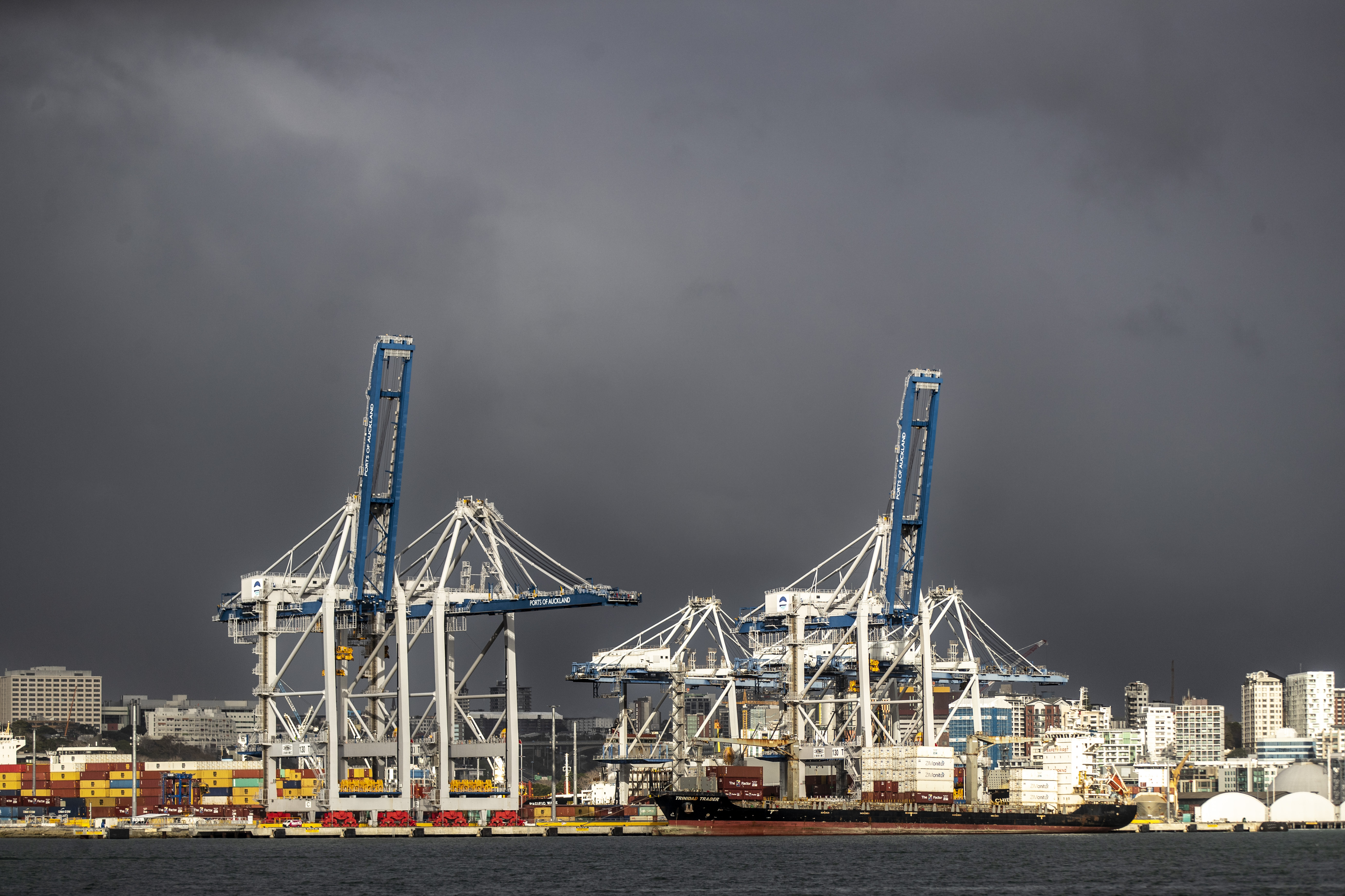 Trade Window makes trade logistics software. Photo / Michael Craig