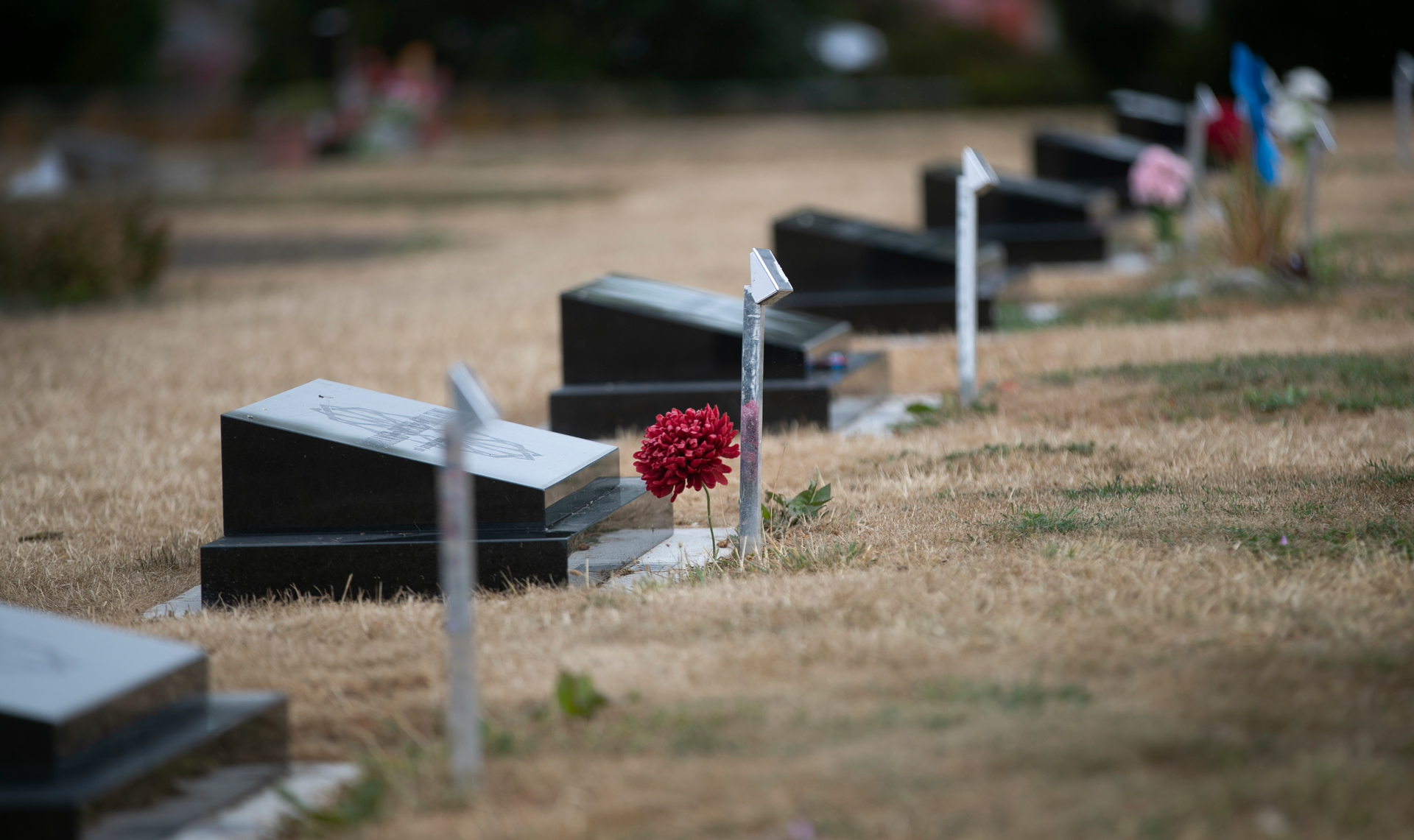 Many of the victims of the 2019 terror attack are buried at Memorial Park Cemetery in Christchurch. Photo / Alan Gibson