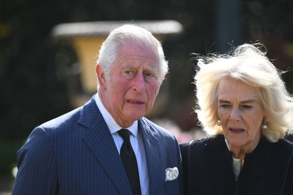 Zara's royal charm offensive - Royals News - NZ Herald