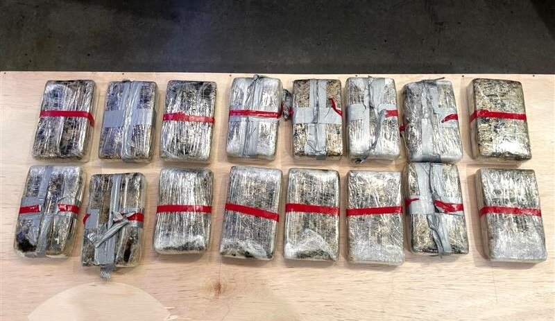 Cocaine continues to be seized by customs officials – but still consumption grows. Photo / Customs