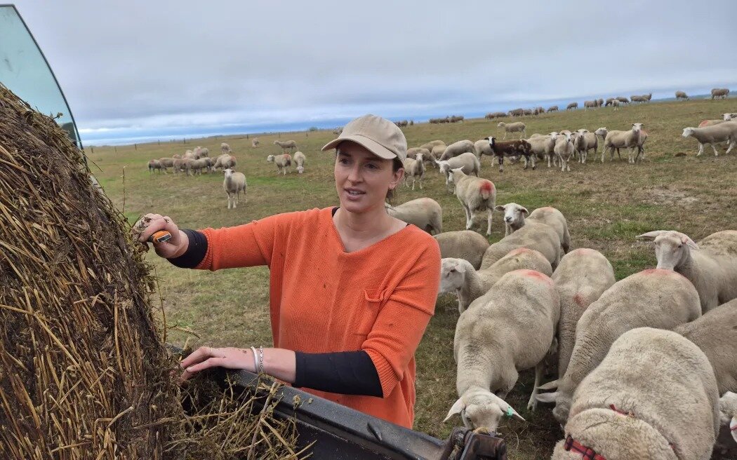 Ruby and Sean have had to buy in about $20,000 of extra baleage for their stock. Photo / RNZ / Alexa Cook