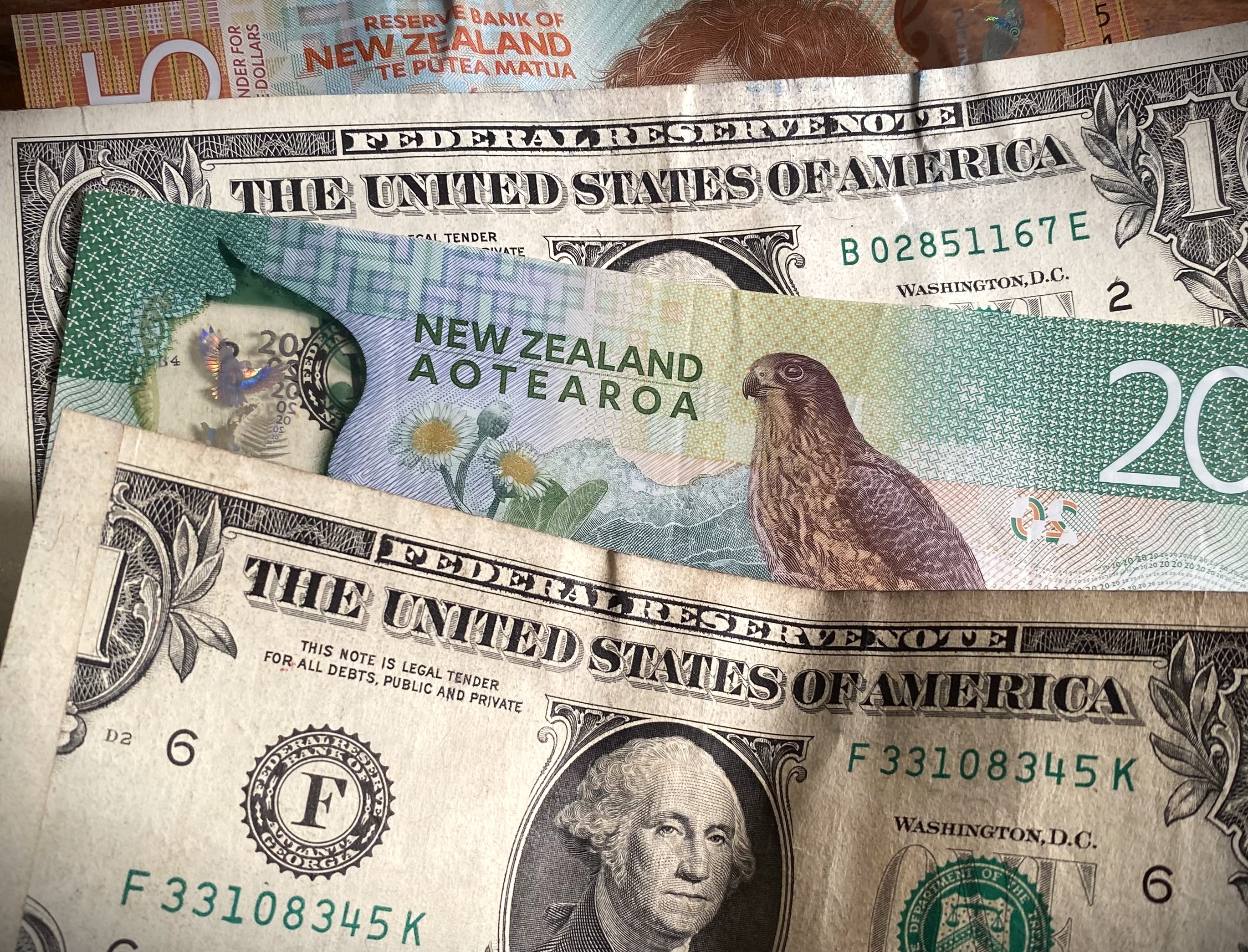 Nobody should be fooled into thinking a falling currency is anything other than Kiwis all getting poorer together, Matthew Hooton argues. Photo / John Weekes