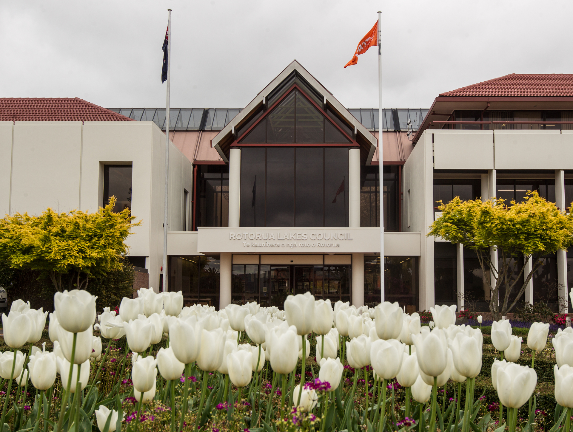 Rotorua Lakes Council building. Photo / File