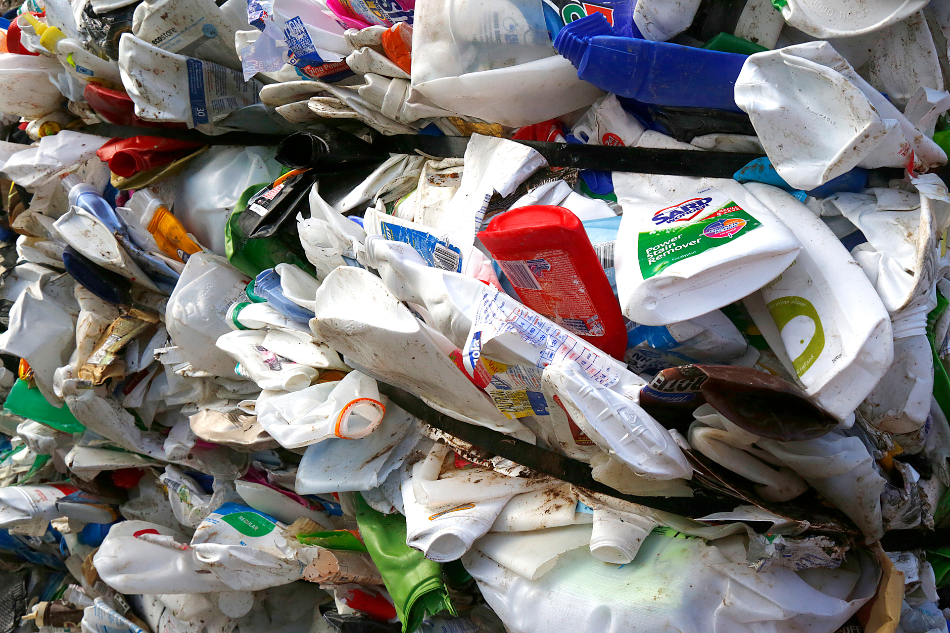 Kerbside standardisation is expected to divert an extra 53,000 tonnes of recycling. Photo / Bevan Conley