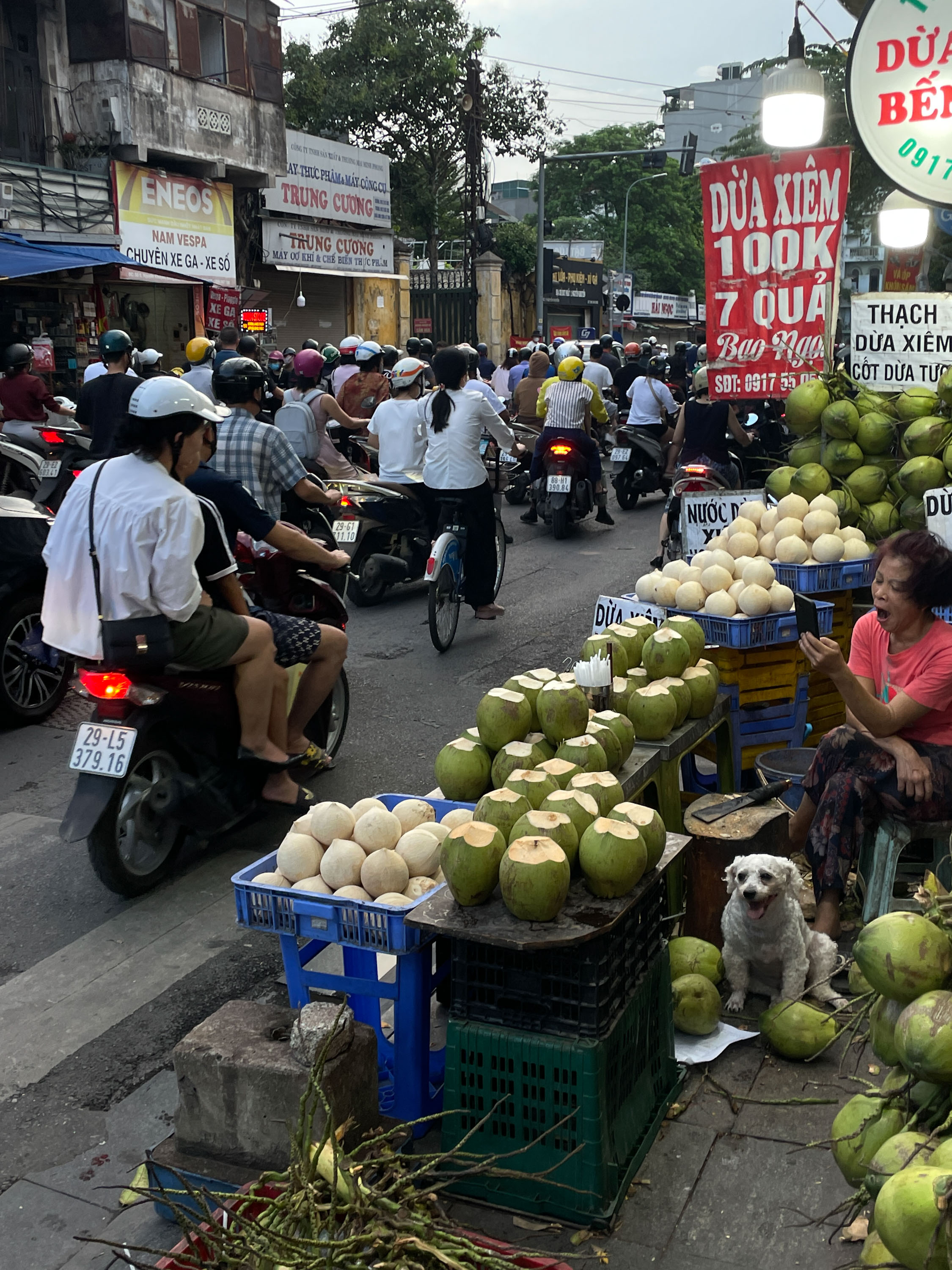 Traffic chaos and coconuts in Hanoi. Photo / India Hendrikse