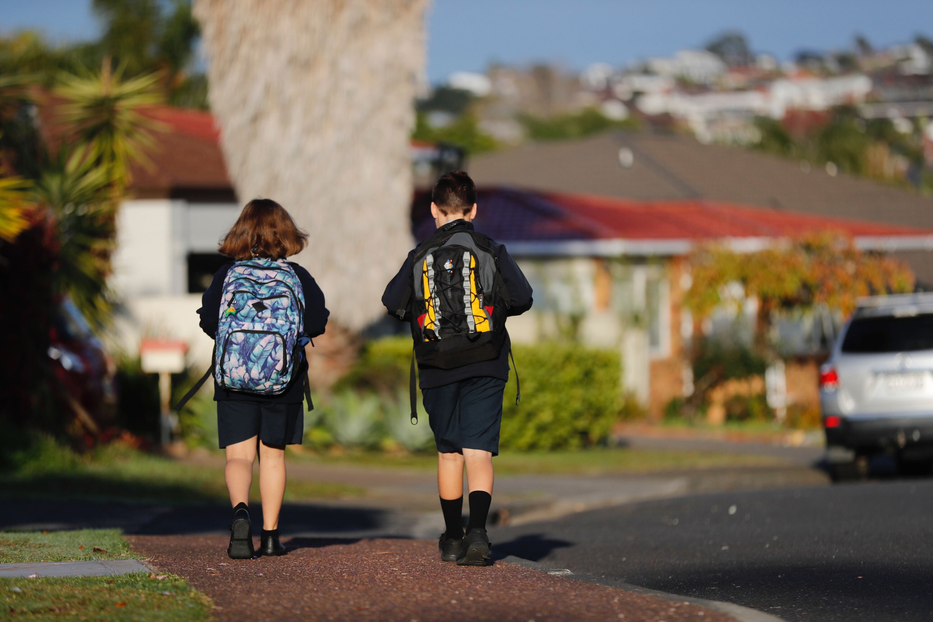 New Zealand’s public education system is celebrated for its ability to foster educational innovation. Photo / NZME