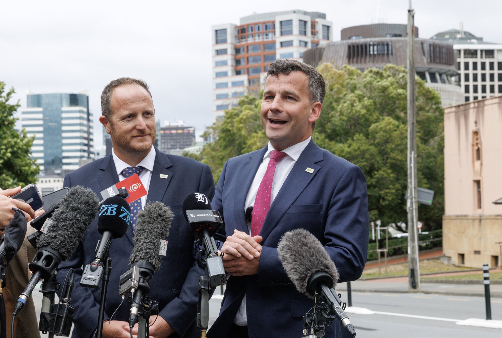 The Act Party has been prosecuting the issue. Photo / Mark Mitchell