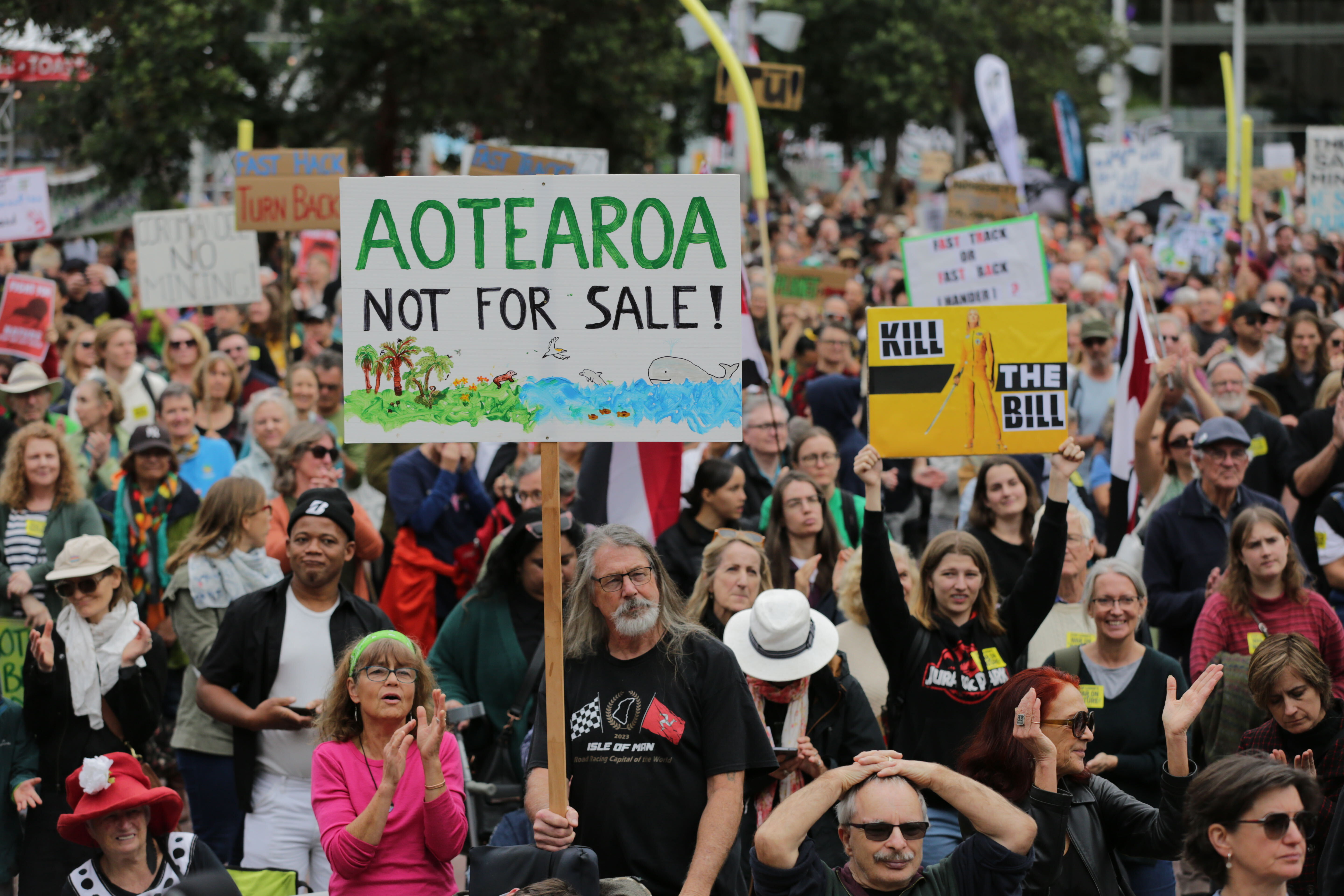 Protesters carry handmade signs critical of the Government's choices. Photo / Sylvie Whinray