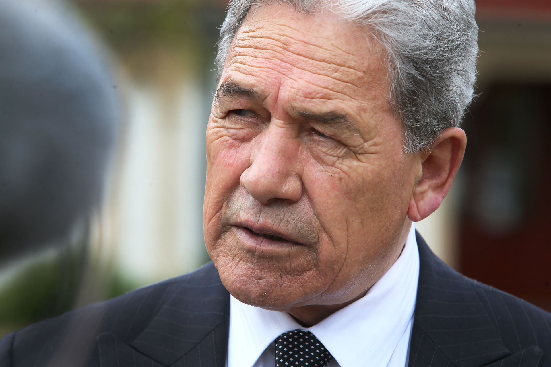 NZ First leader Winston Peters. Photo / Tania Whyte