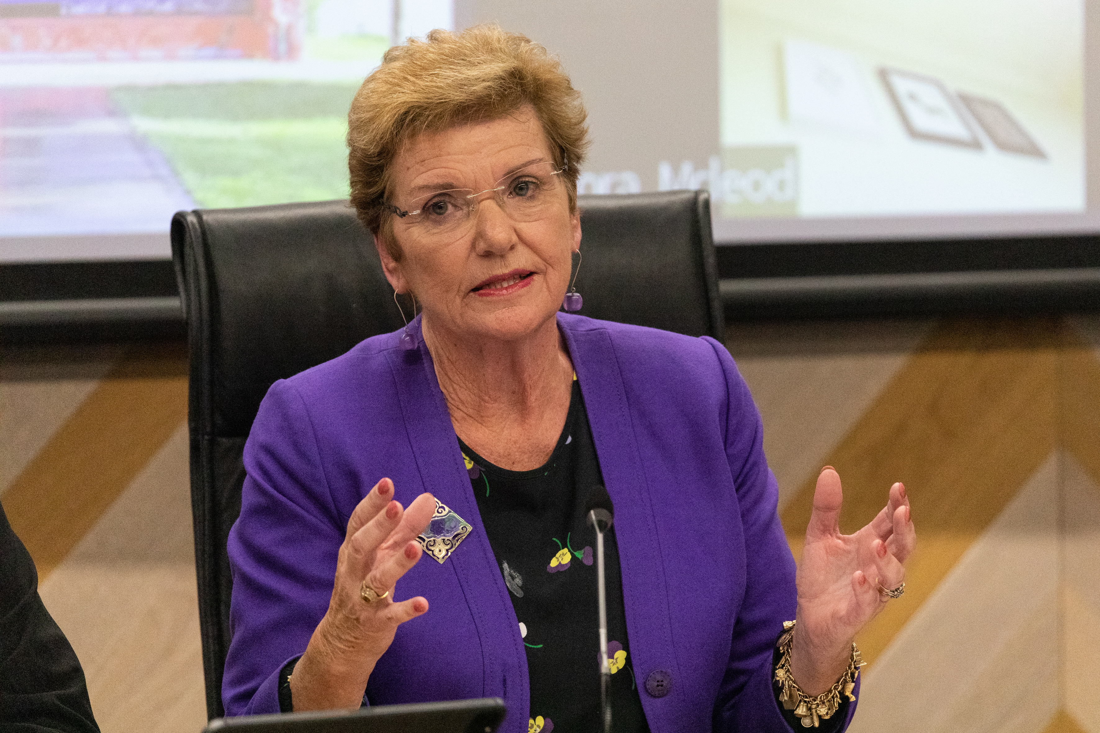 Tauranga City Council commission chairwoman Anne Tolley. Photo / Alex Cairns