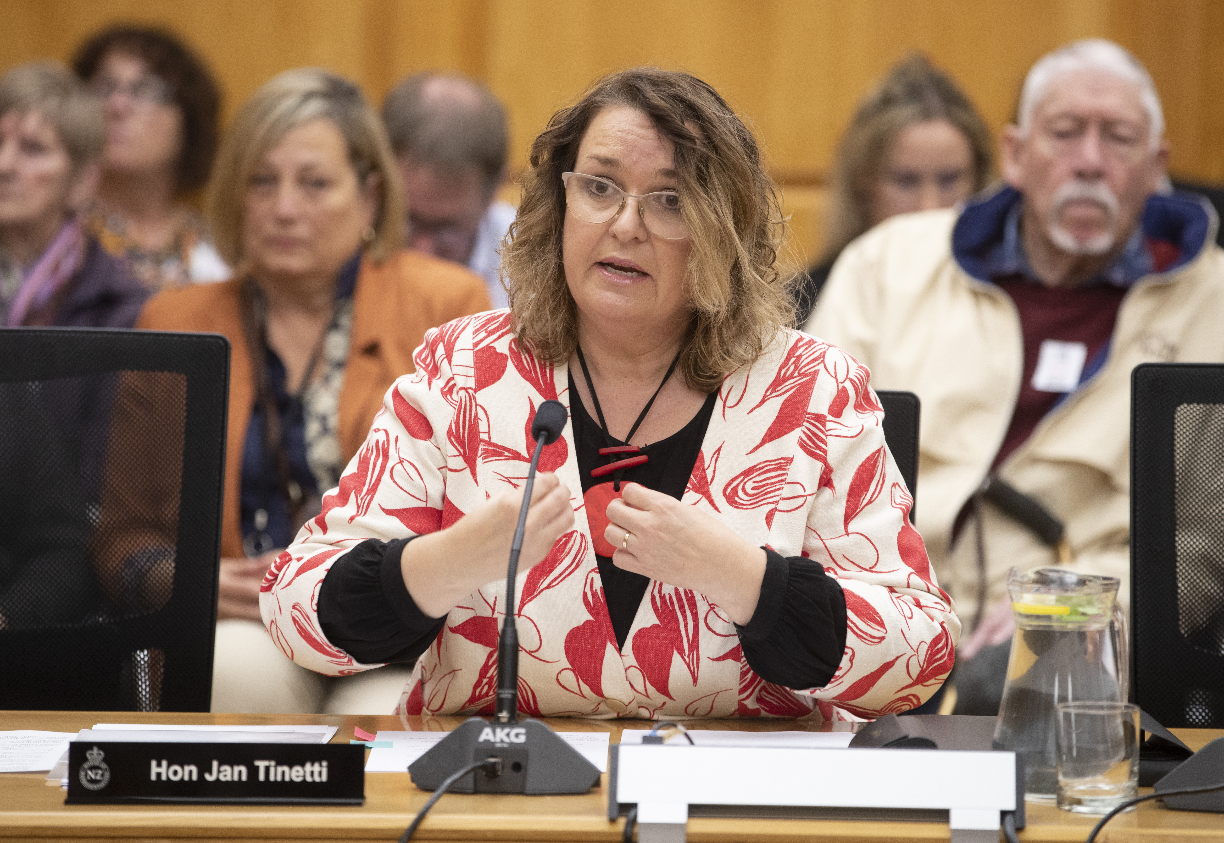 Education Minister Jan TInetti appears before Parliament's Privileges Committee. Photo / Mark Mitchell