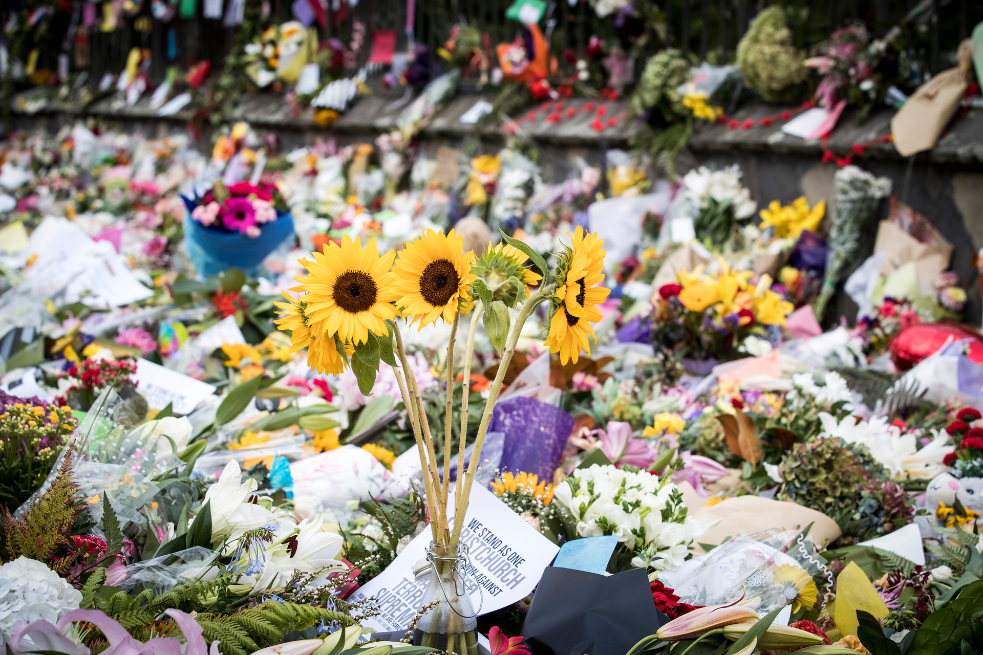 Flower tributes left for victims at Christchurch Botanic Gardens. Photo /  Michael Craig