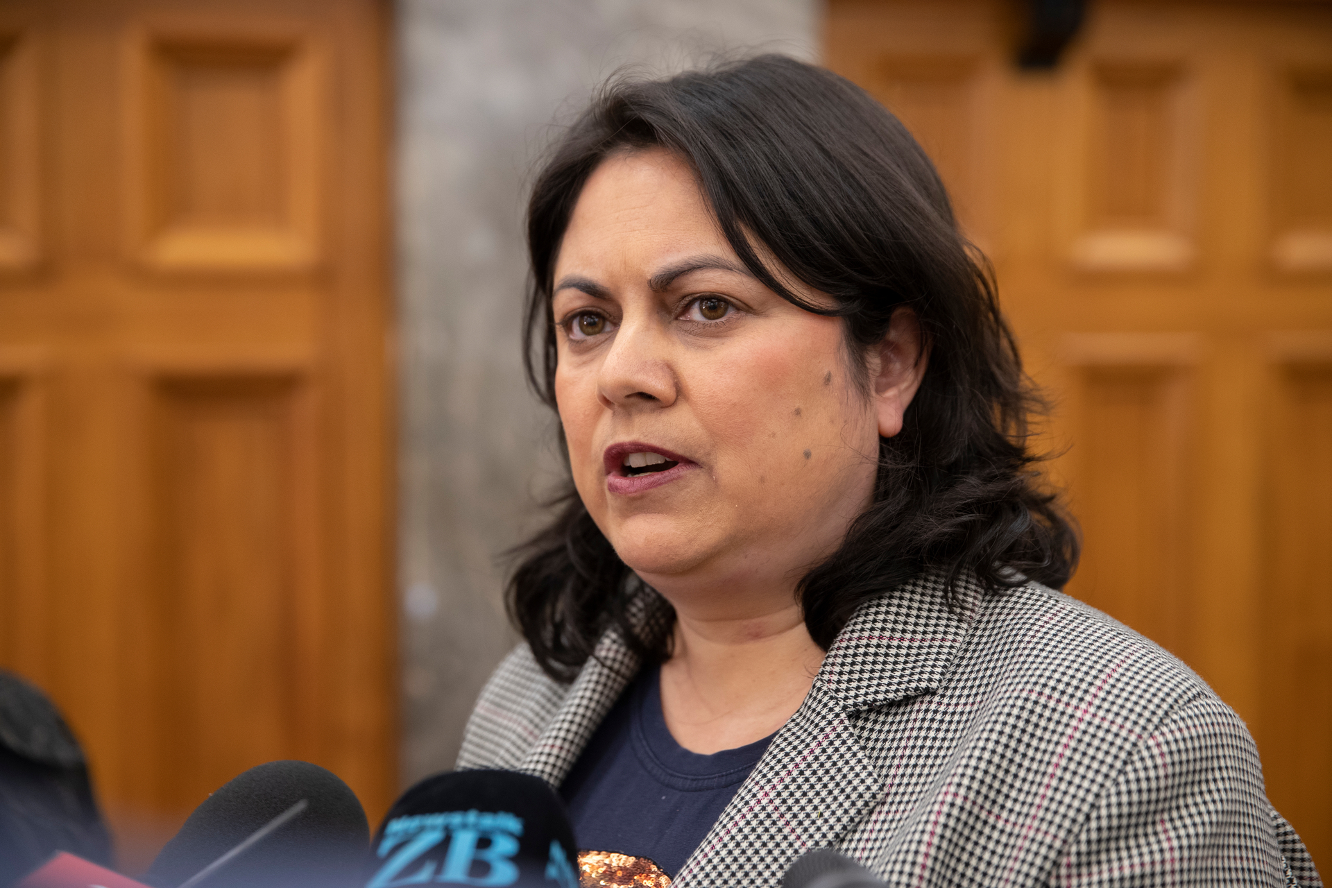 Labour's Wellington issues spokeswoman Ayesha Verrall says the former Government did not accept the cost blowout. Photo / Mark Mitchell