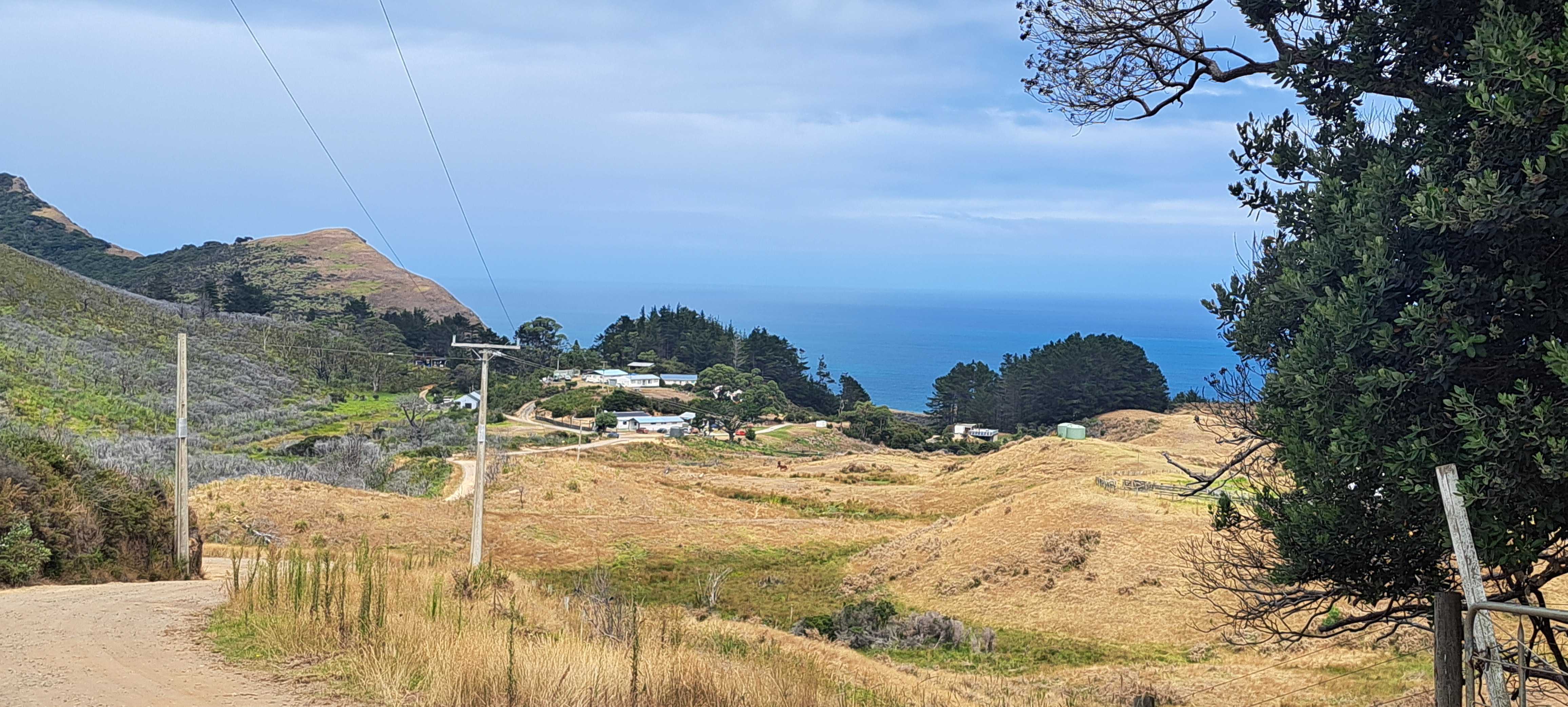 Waikarā Marae is situated off the isolated West Coast, pictured here in the distance. To the left, trees and shrub recover from a 70ha fire three years prior. Photo / Brodie Stone