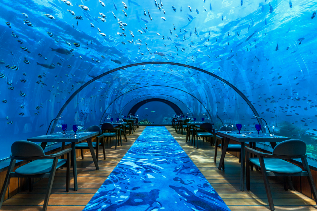 The 5.8 Undersea Restaurant in the Maldives is the world's largest all-glass underwater dining venue, situated 5.8m below sea level. Photo / 5.8 Undersea Restaurant, Hurawalhi Maldives