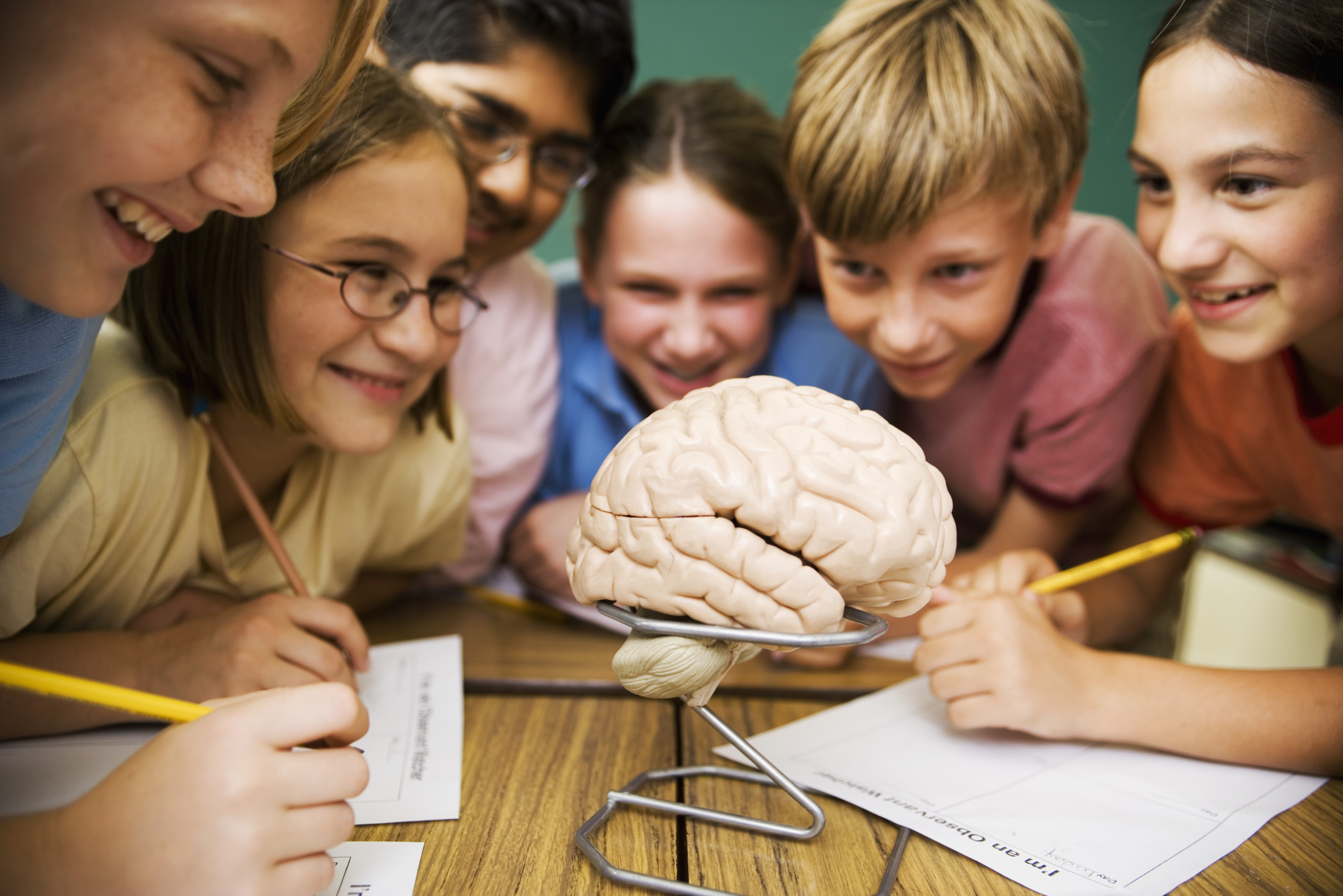 The human brain leaves computers behind with its endless capacity for problem solving, innovation and invention. Photo / Thinkstock