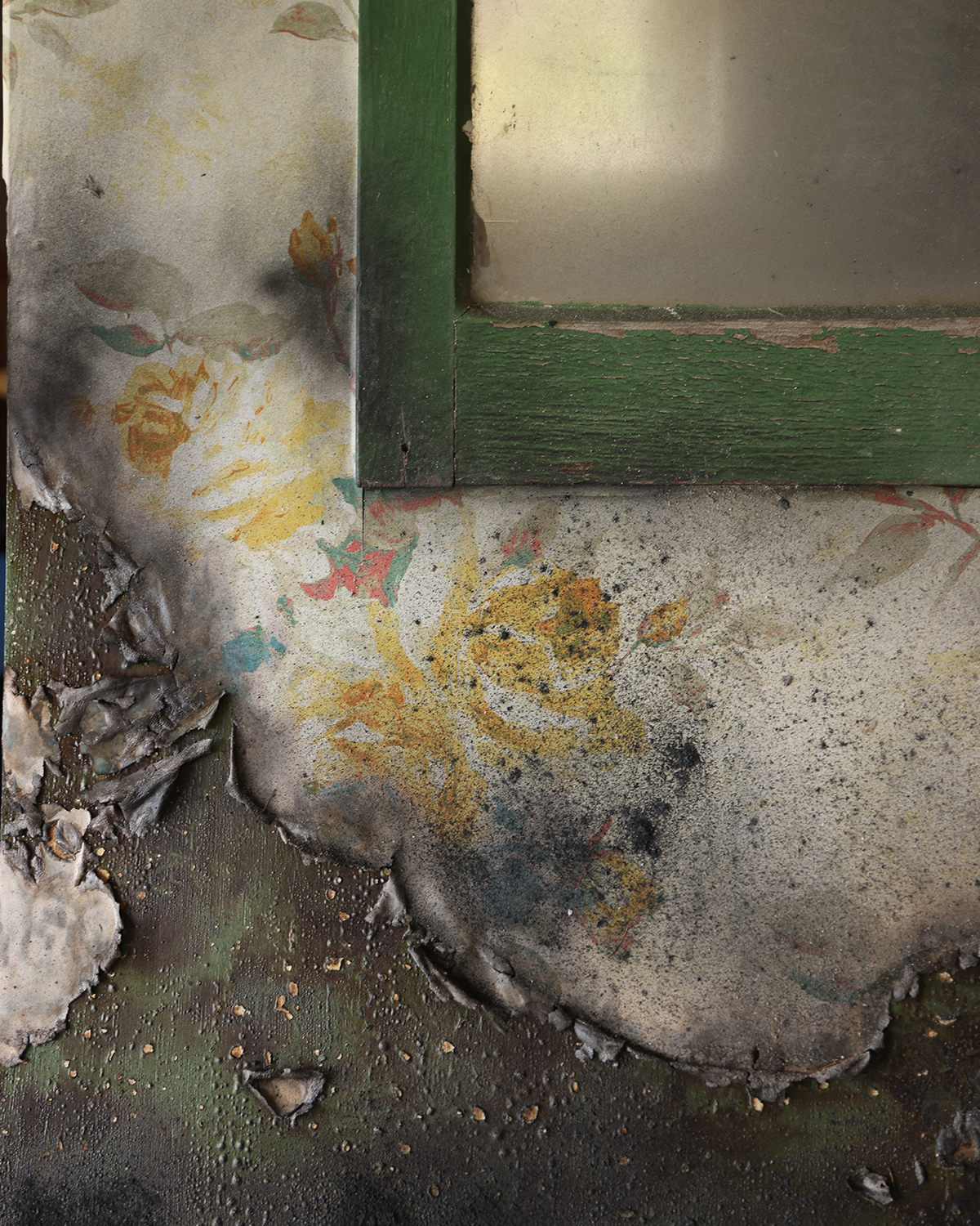 Details from What’s the Matter at Hastings Art Gallery. Photo / Ginny Fisher