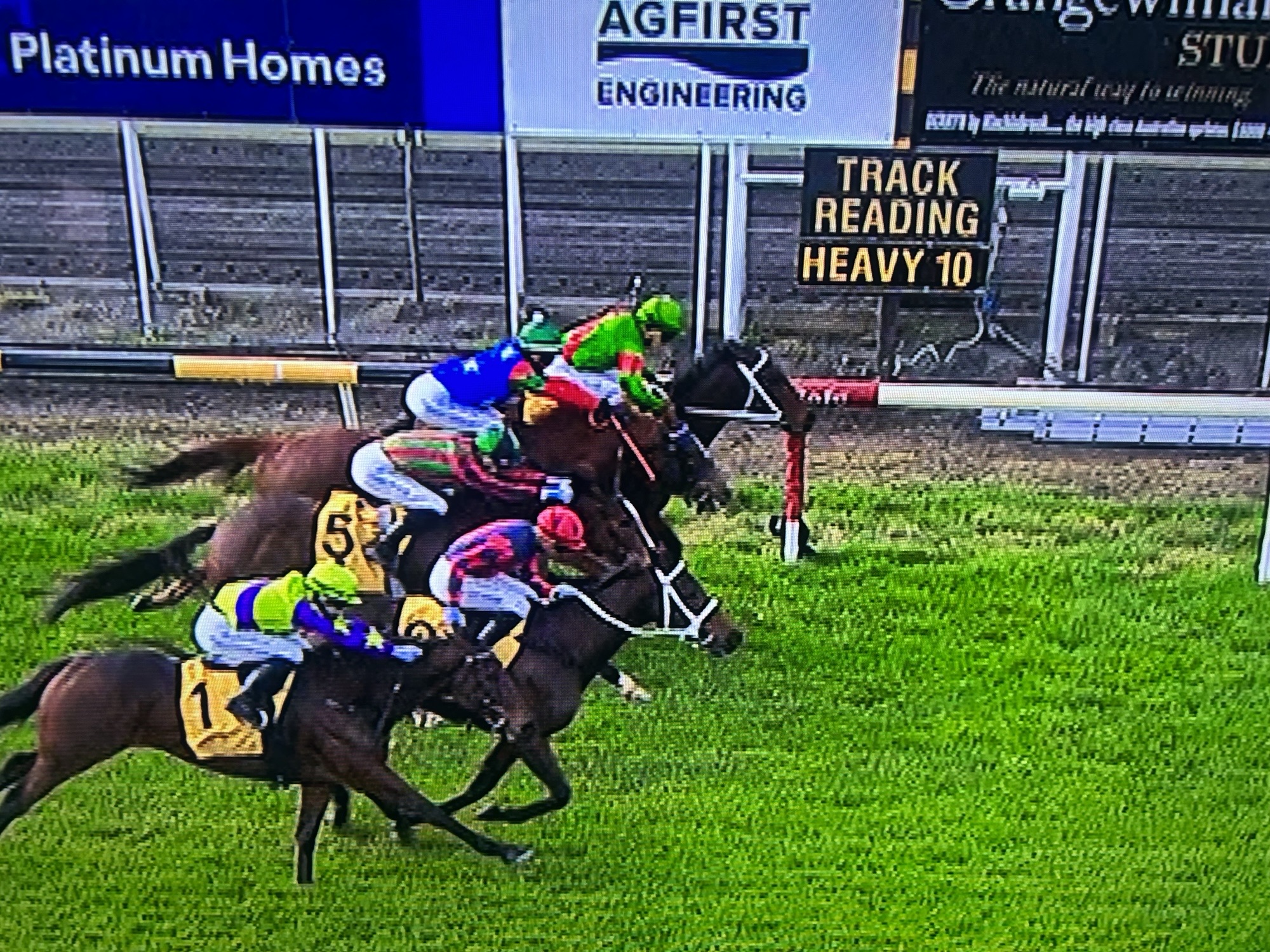 Television replays suggested Our Darcy (green, inner) had won at New Plymouth but the winner was actually Timemakesthewine (red and blue). Photo / Trackside screenshot